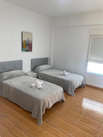 Three-Bedroom Apartment photo 3