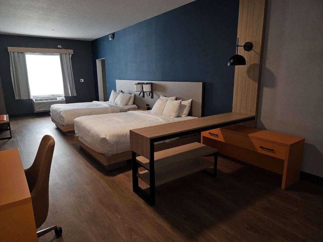 One Room Suite with Two Queen Beds and Sofa bed - Disability Access/Non Smoking photo 2