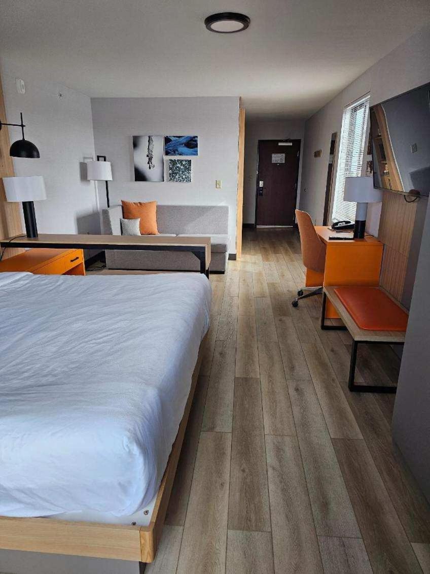 One Room Suite with Sofa bed - Disability Access/Non Smoking photo 1