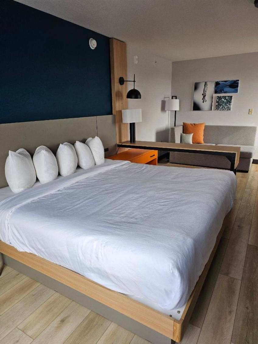 One Room Suite with Sofa bed - Non Smoking photo 3