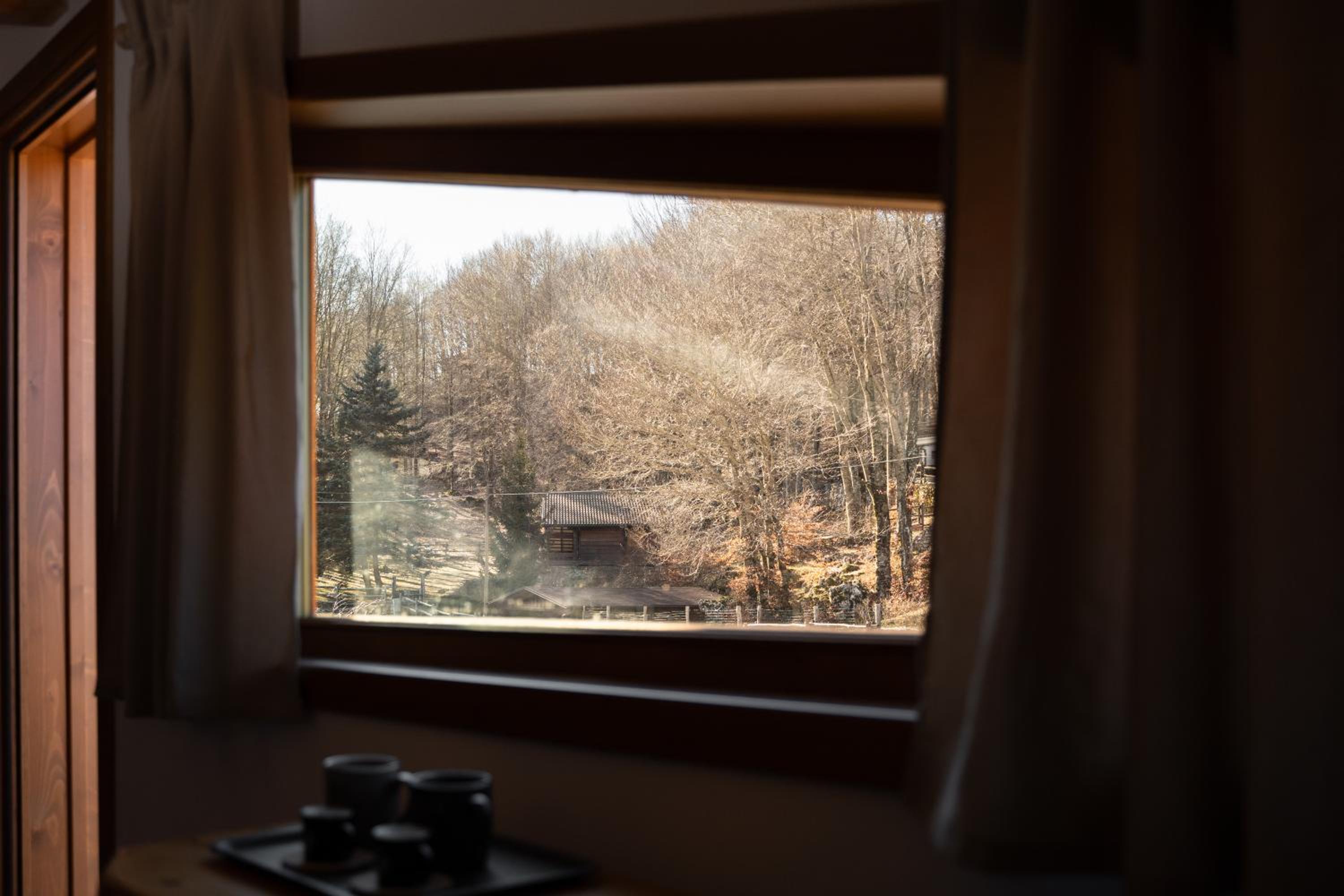 Suite with Balcony photo 2
