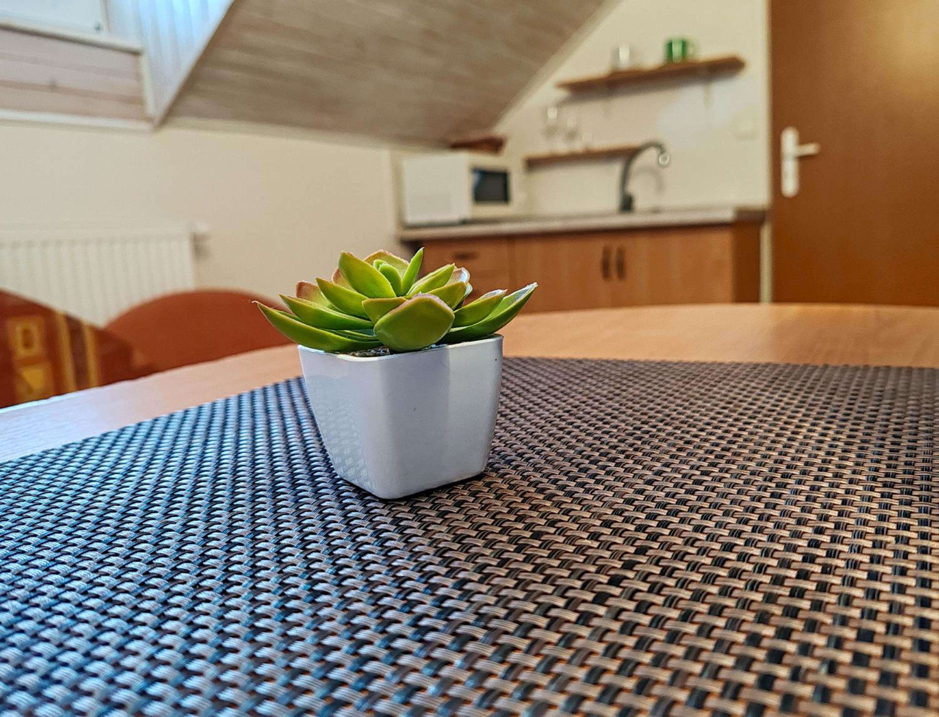 Single Room with Bathroom photo 2