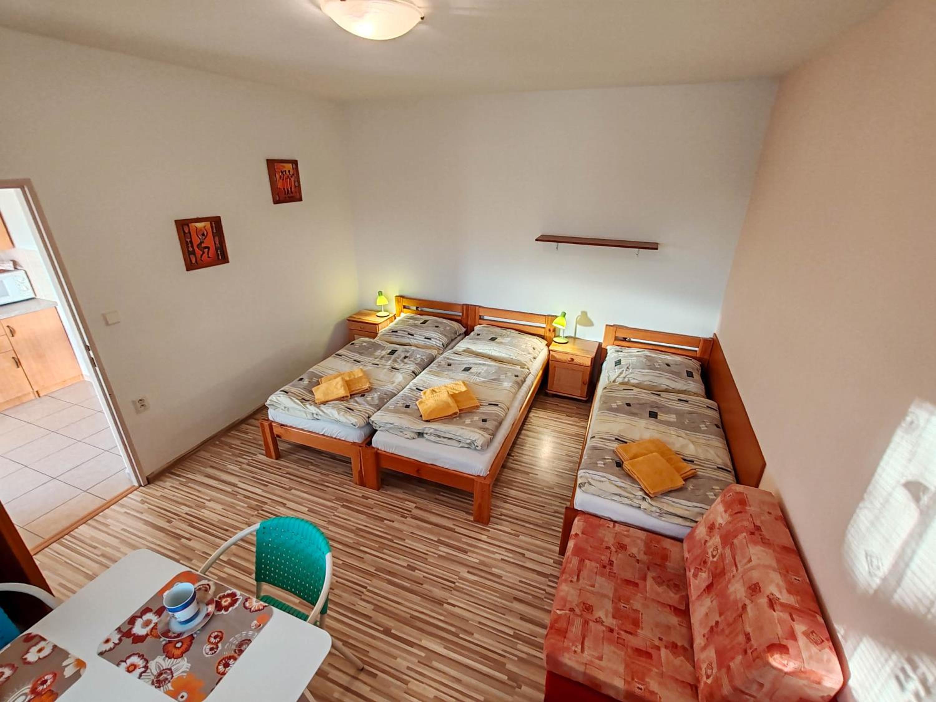 Studio with Terrace - Photo 2