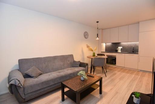 One-Bedroom Apartment - Photo 3