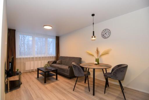 One-Bedroom Apartment - Photo 5