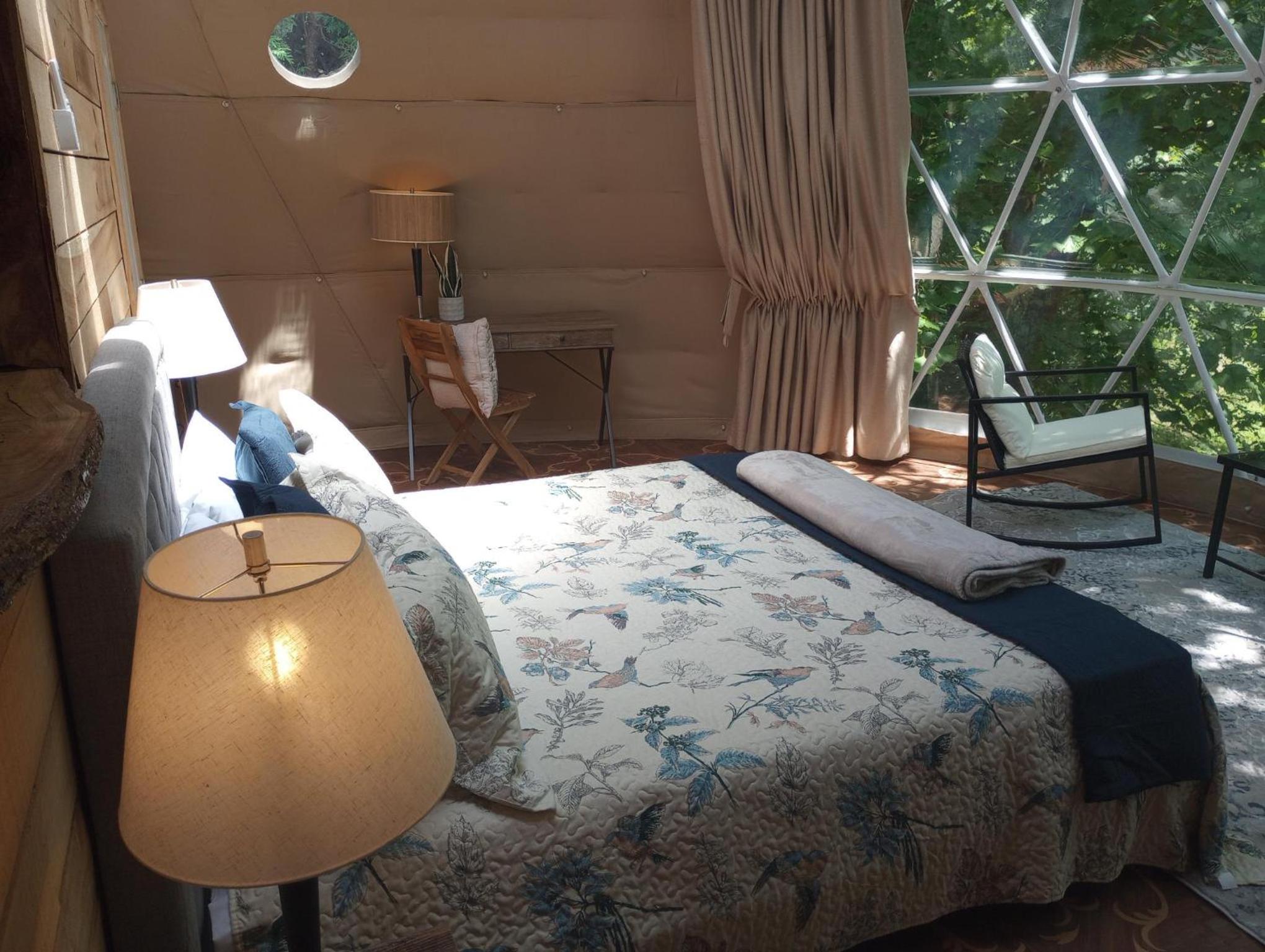 Deluxe King Room photo 1