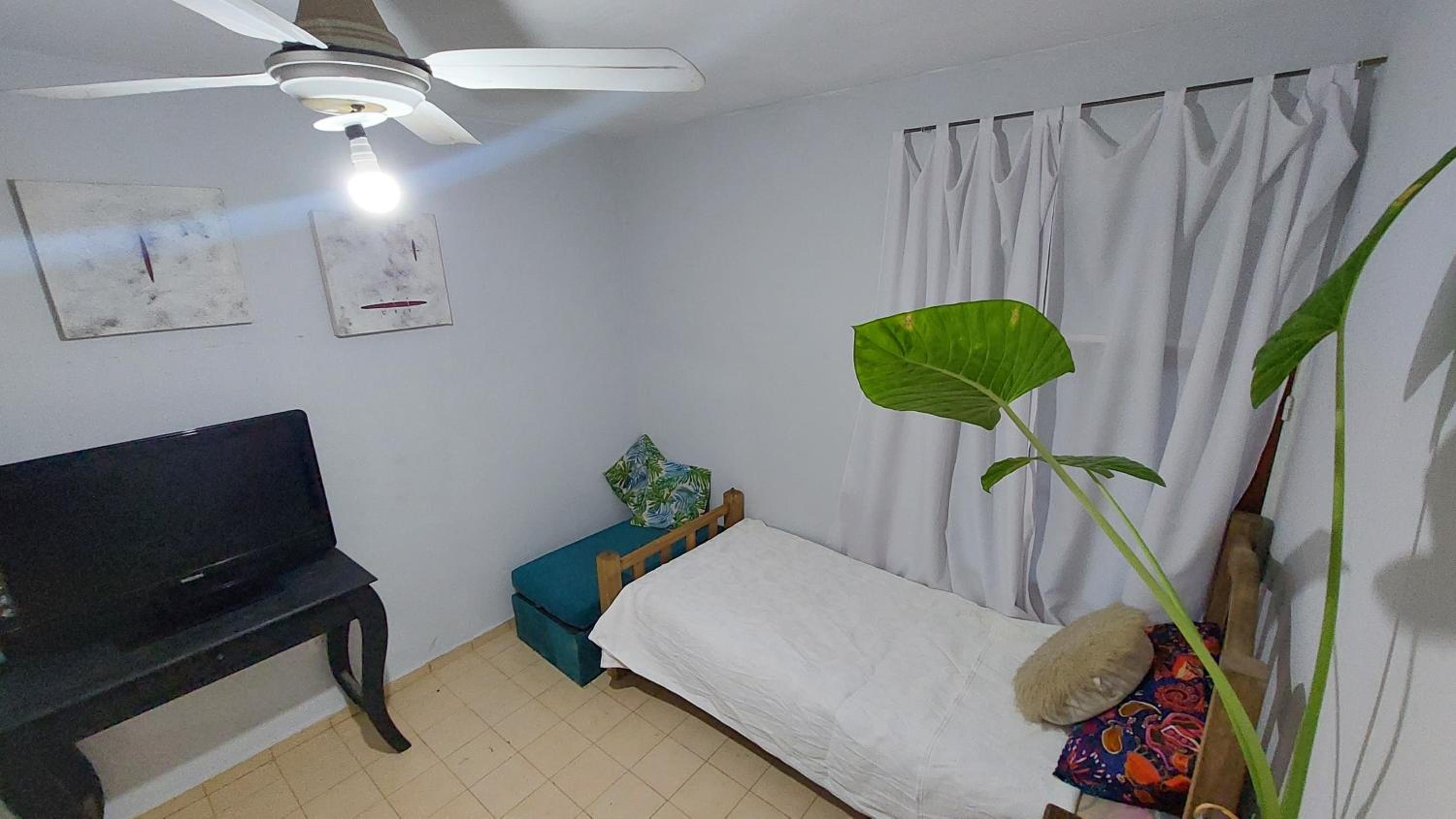 Single Room photo 3