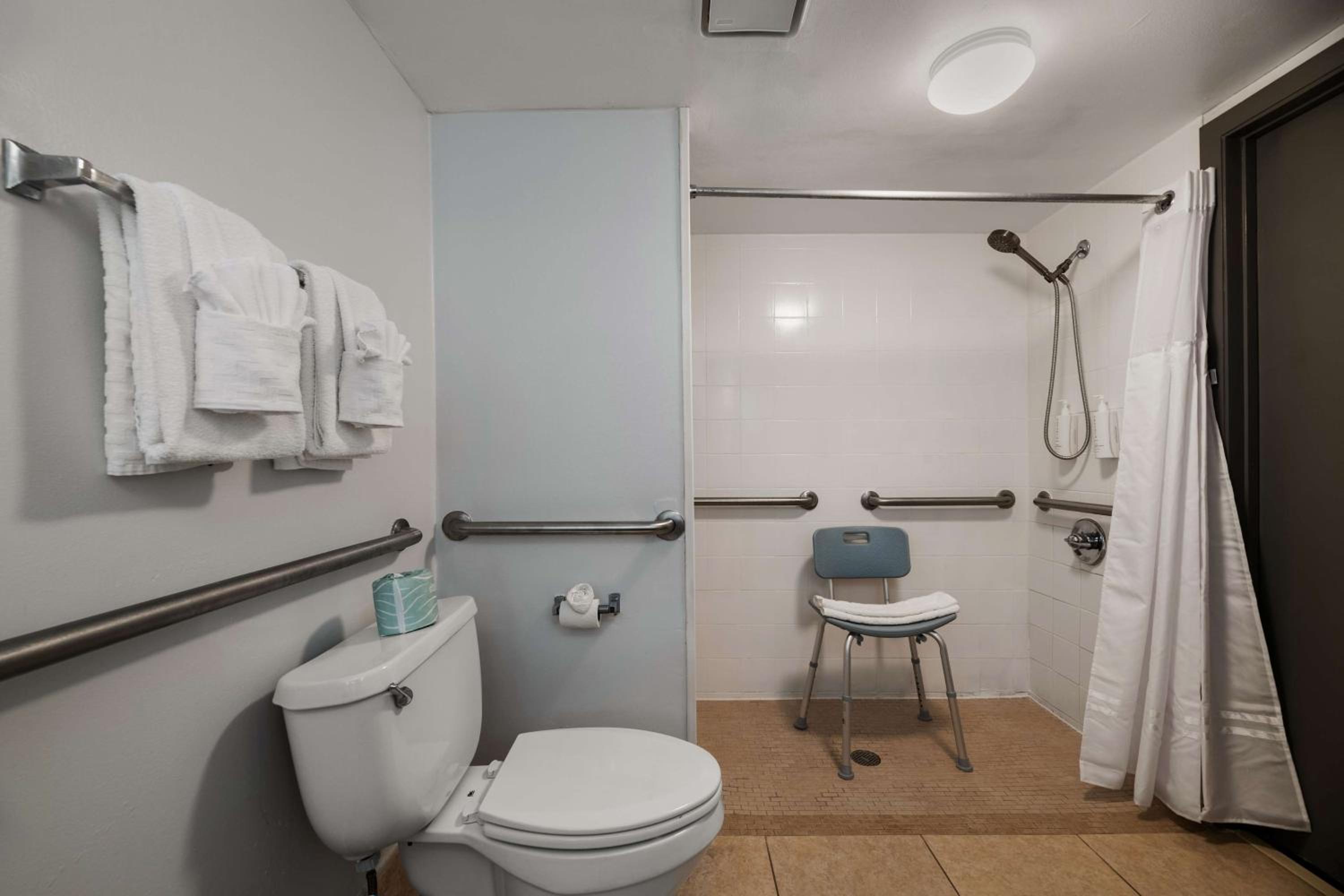 Queen Room with Roll-In Shower - Disability Access