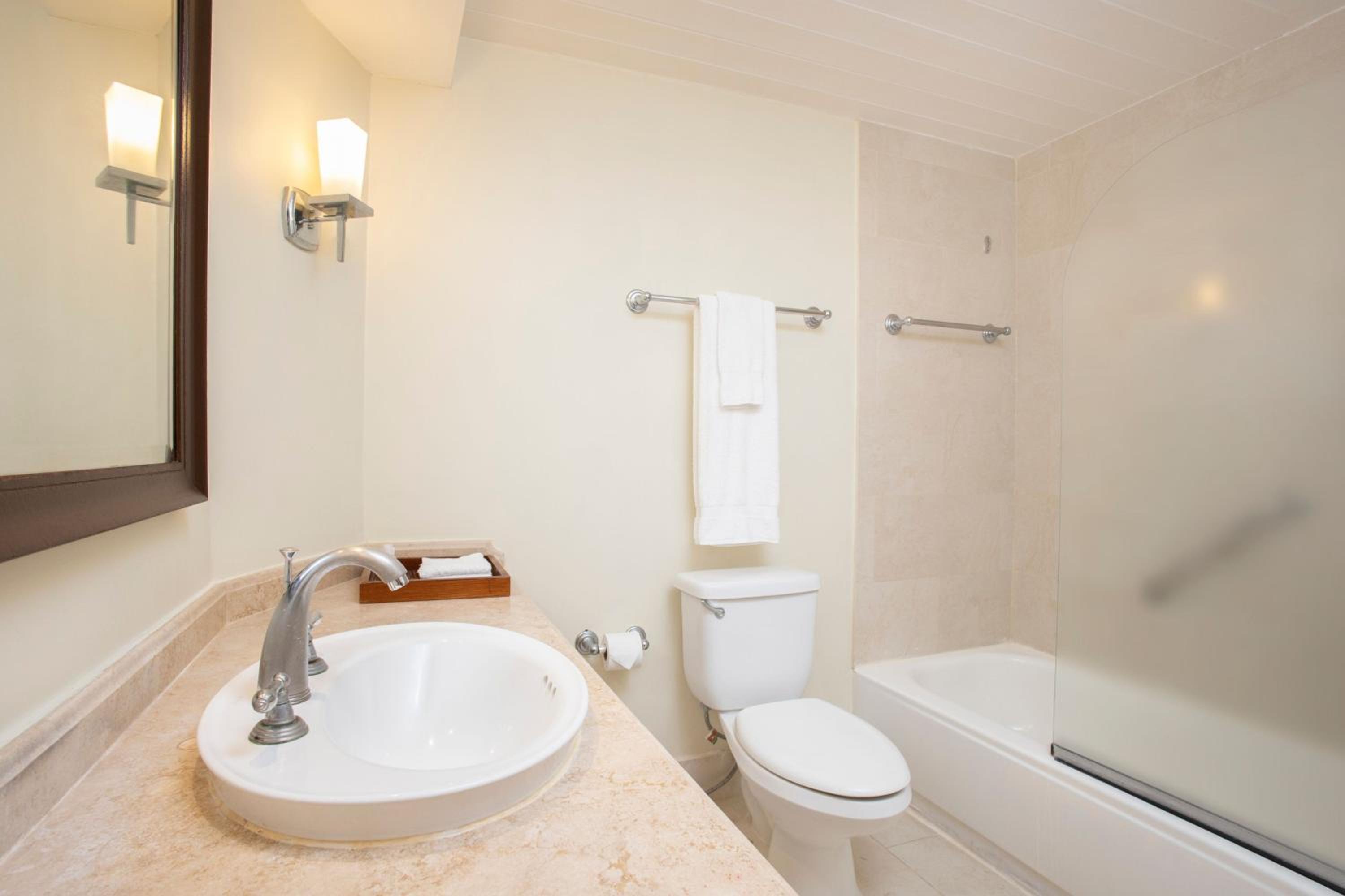 Garden View, All-Inclusive, Junior Suite, 1 King, Sofa bed