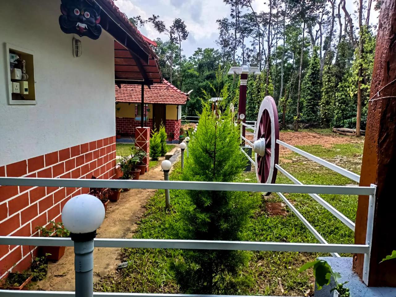 Standard Villa photo 2