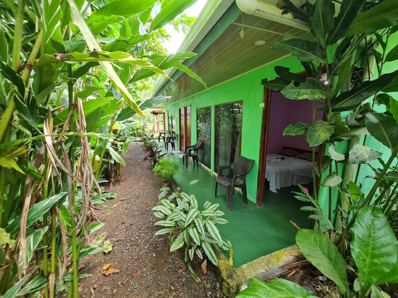 Standard Double Room With Fan photo 2