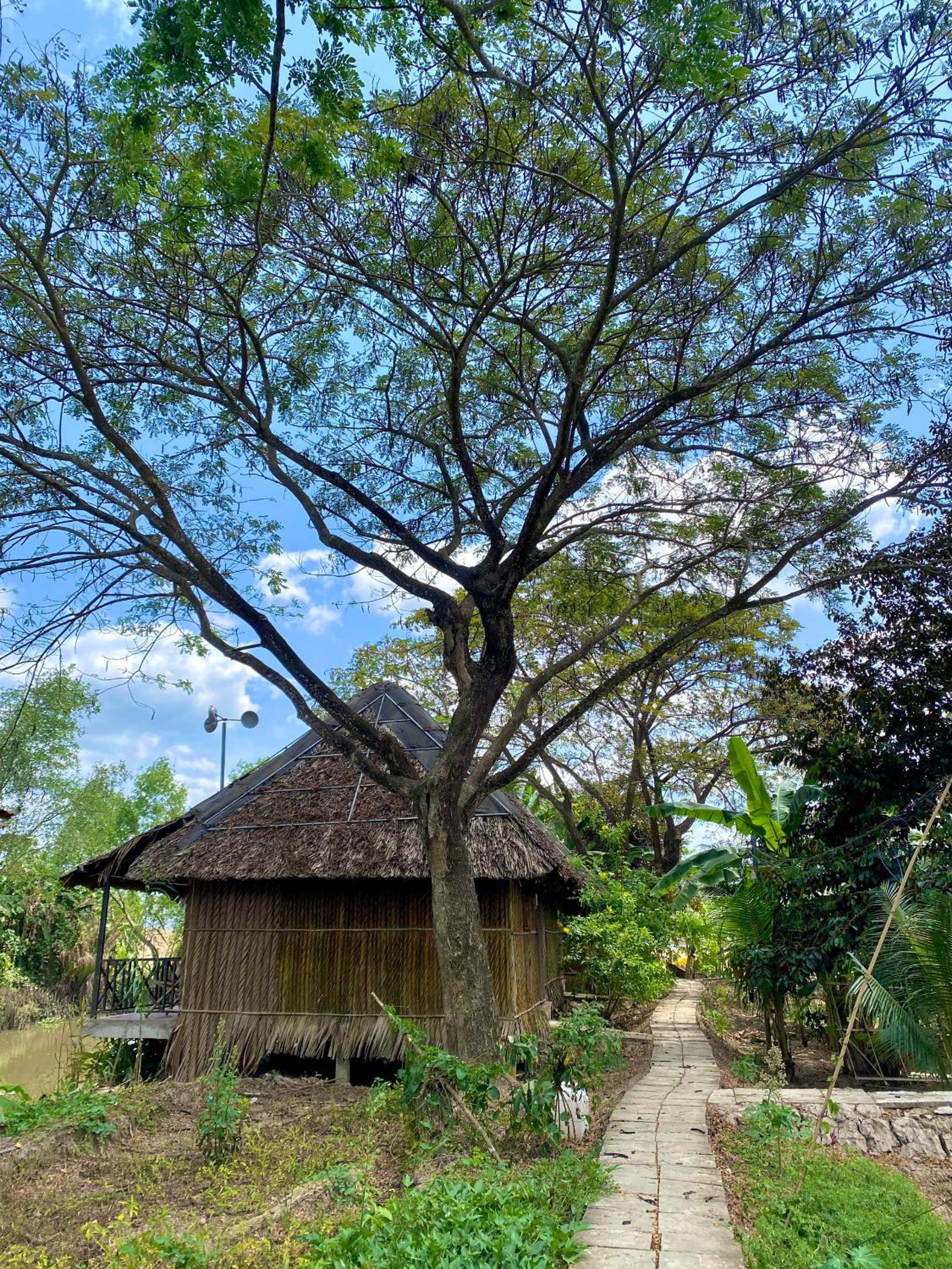 Deluxe Bungalow with Garden View photo 3