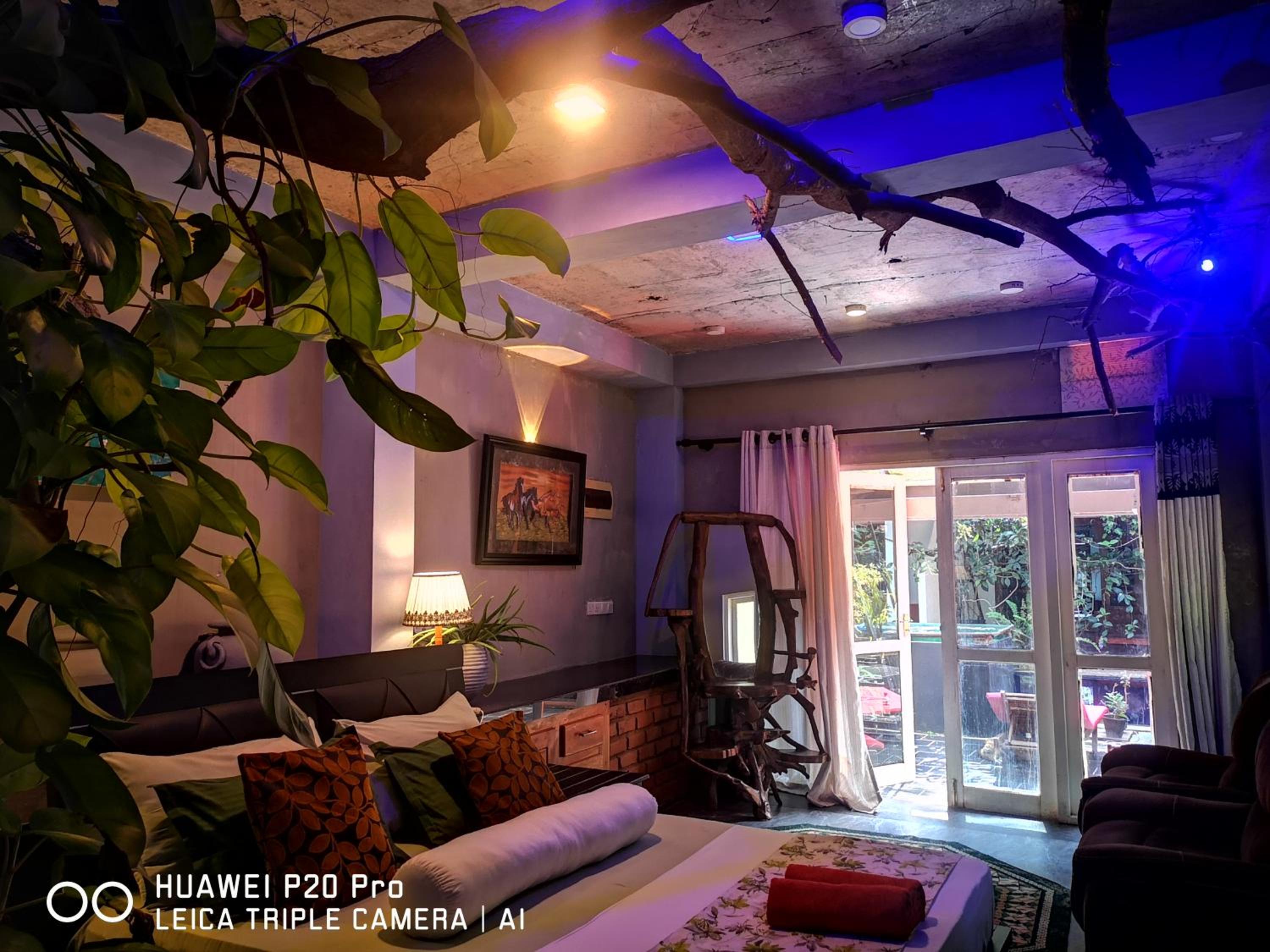 Double Room with Garden View photo 2