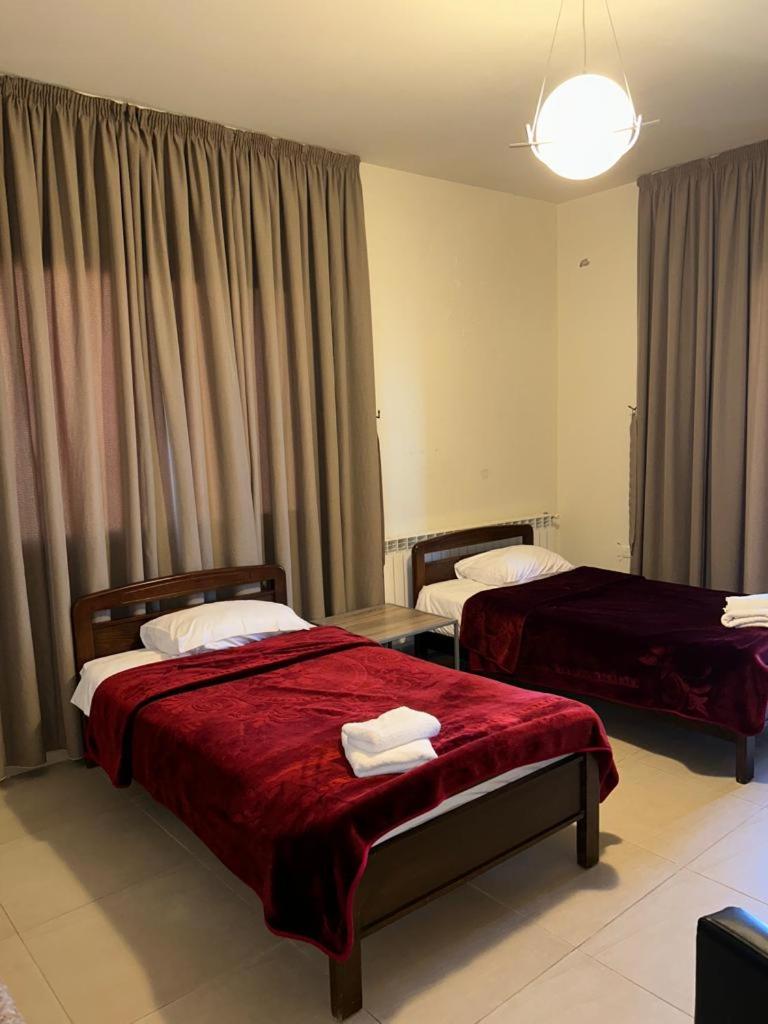 Family Suite (4 Adults) photo 1