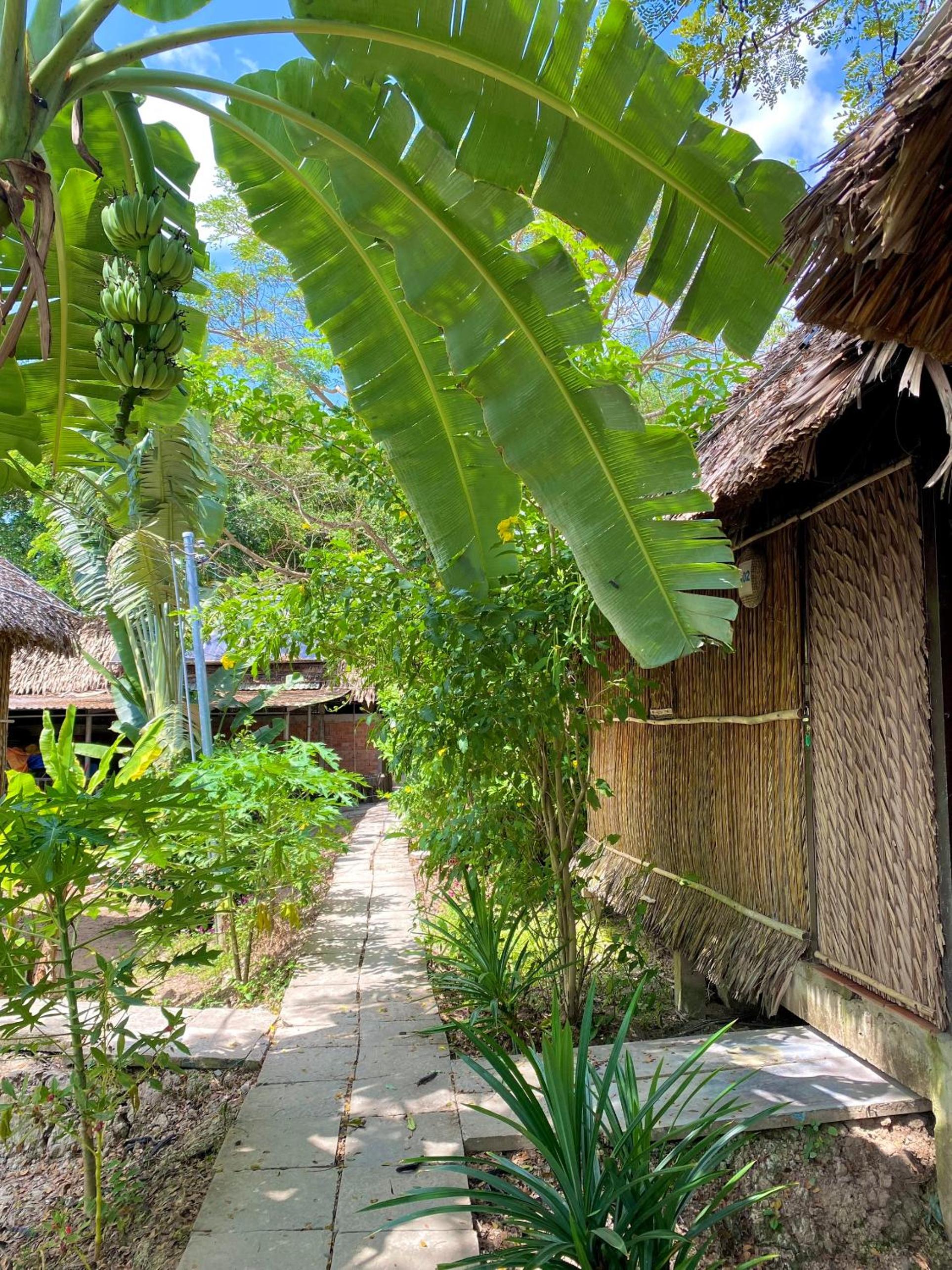 Deluxe Bungalows with River View (Riverfront) photo 3