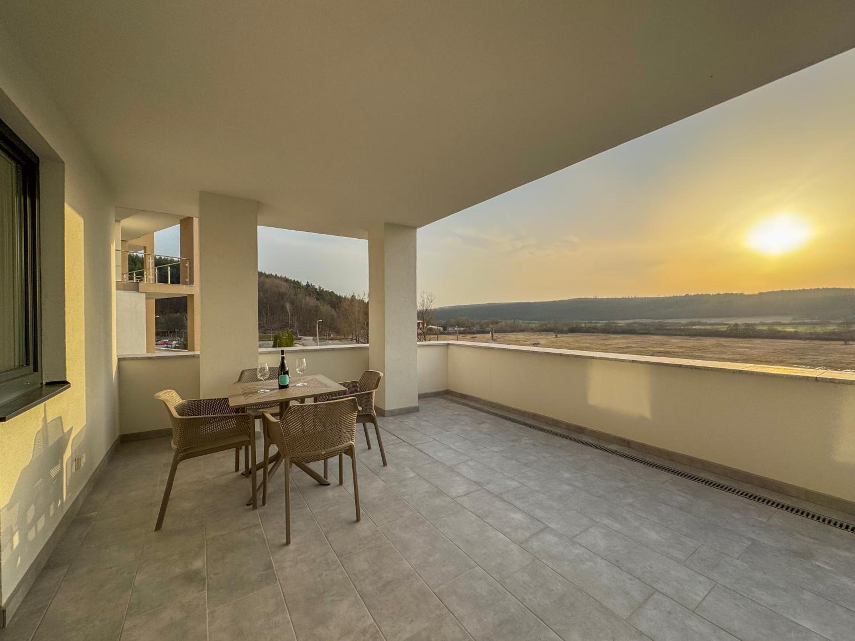 One-Bedroom Apartment with Terrace photo 3
