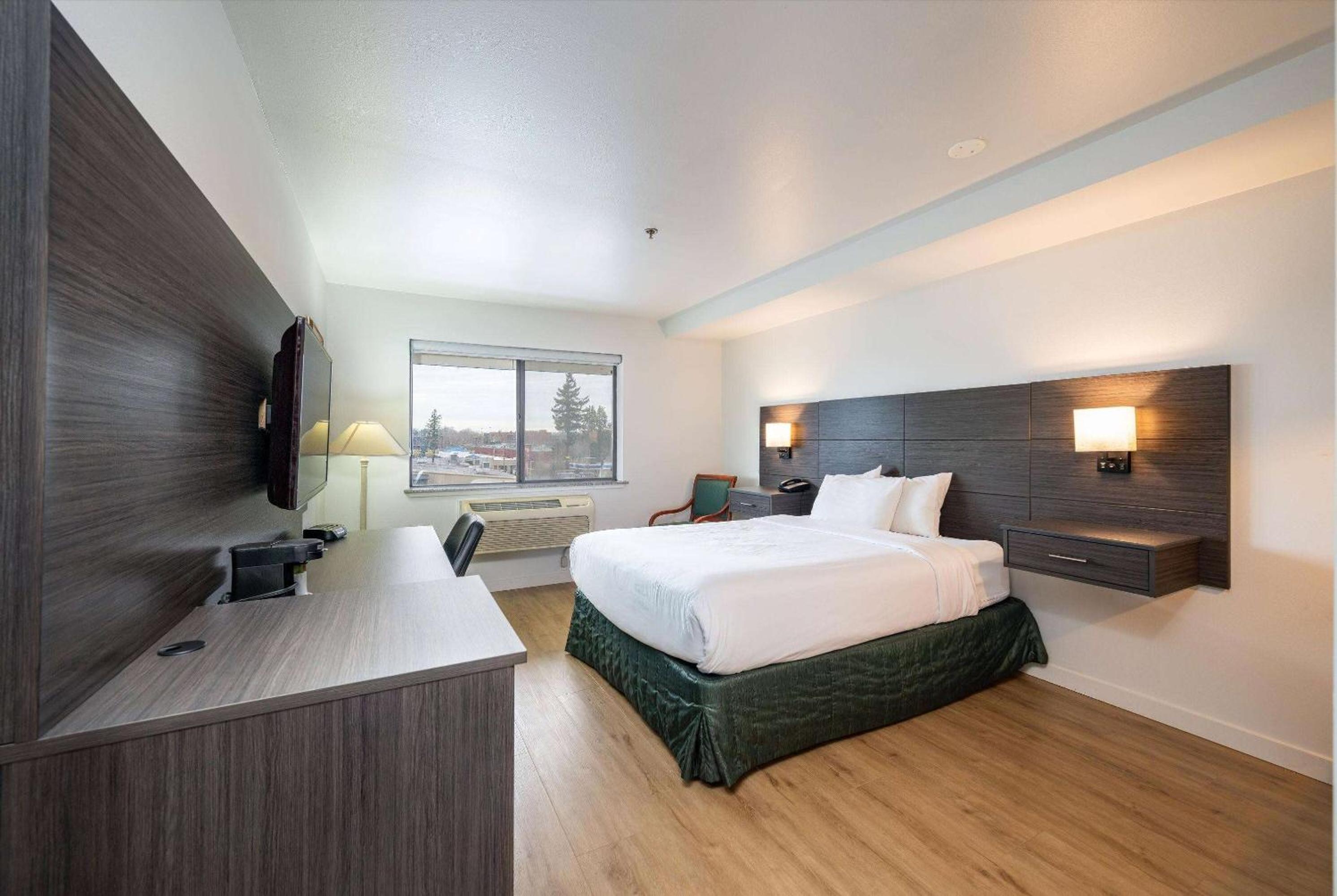 King Room - Non-Smoking - Photo 1