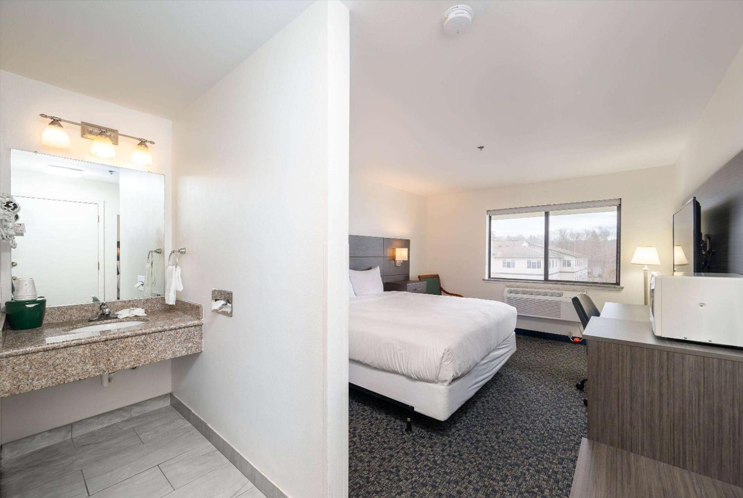 Deluxe King Studio Suite - Non-Smoking - Photo 1