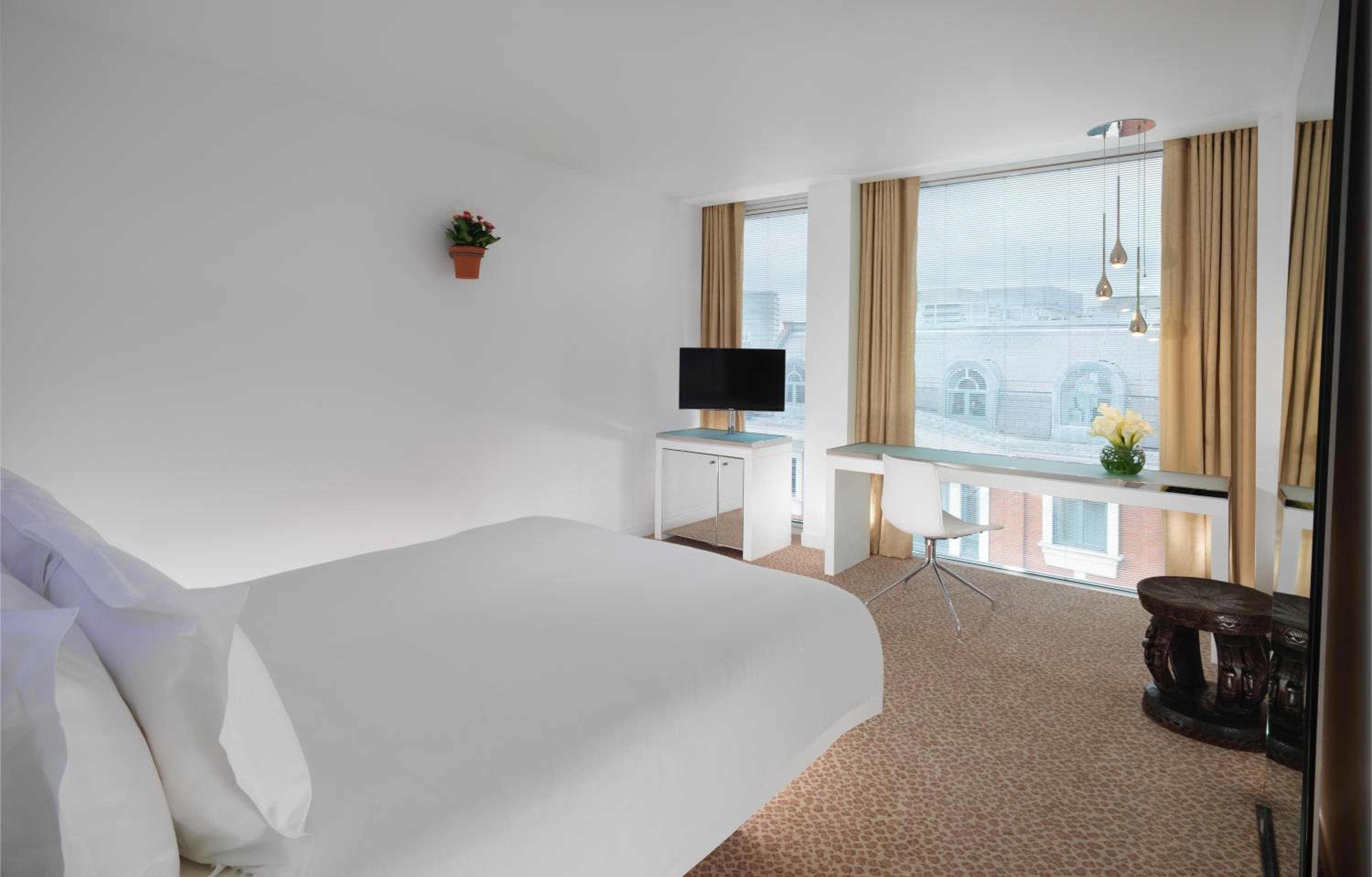 Standard Room - Mobility Accessible photo 2
