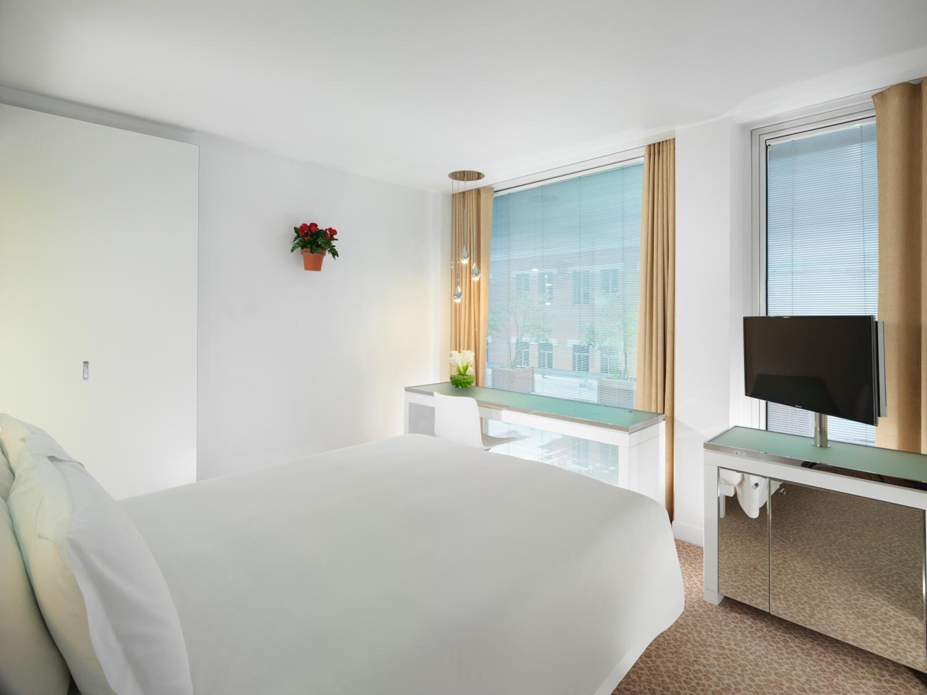Standard Room - Mobility Accessible photo 3
