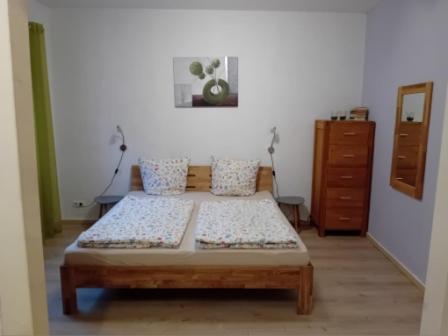 Standard Apartment photo 1