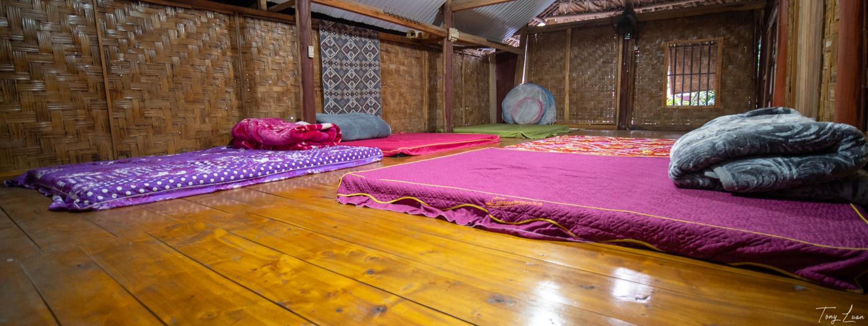 6-Bed Female Dormitory Room photo 1