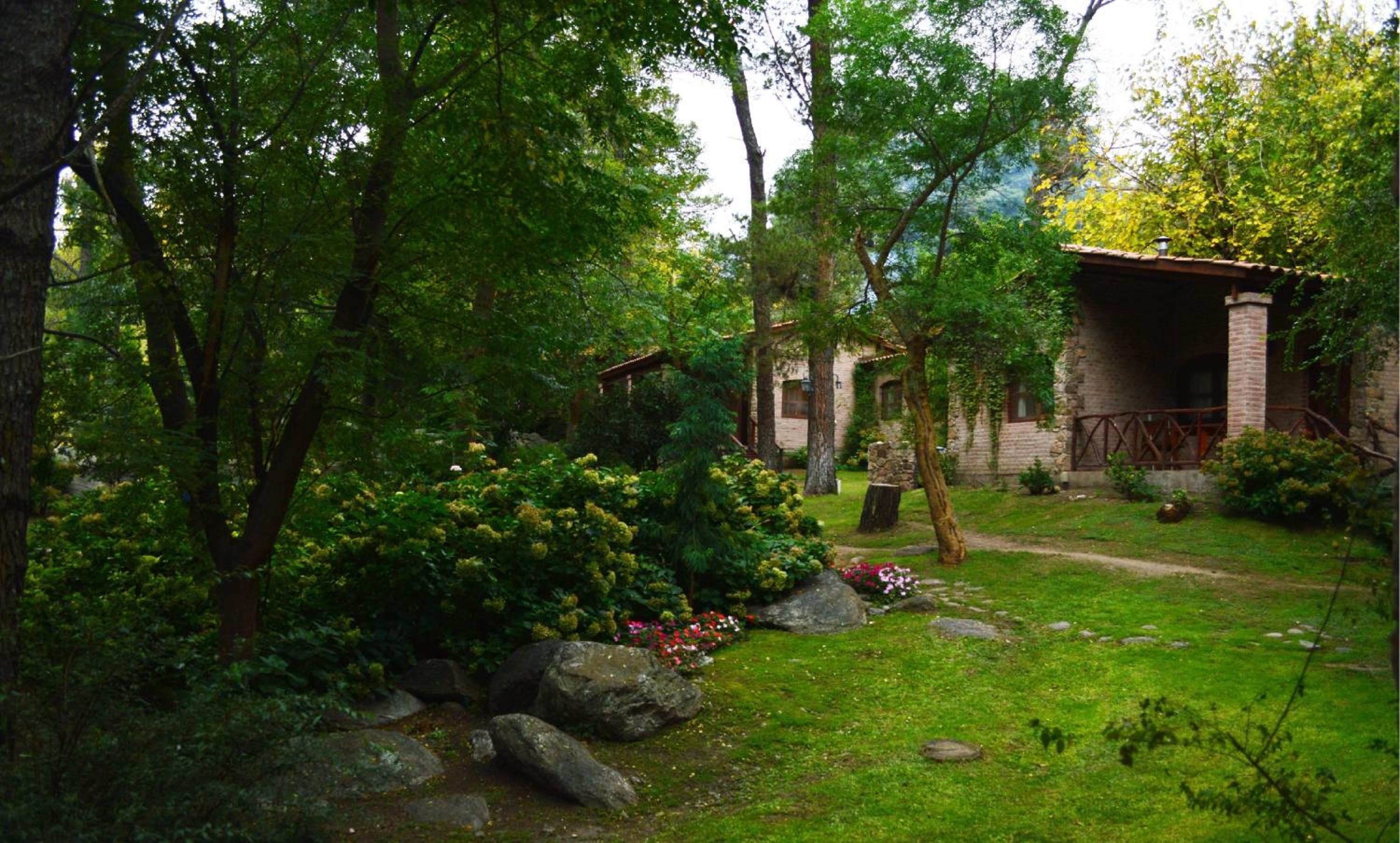 Two-Bedroom Chalet photo 3