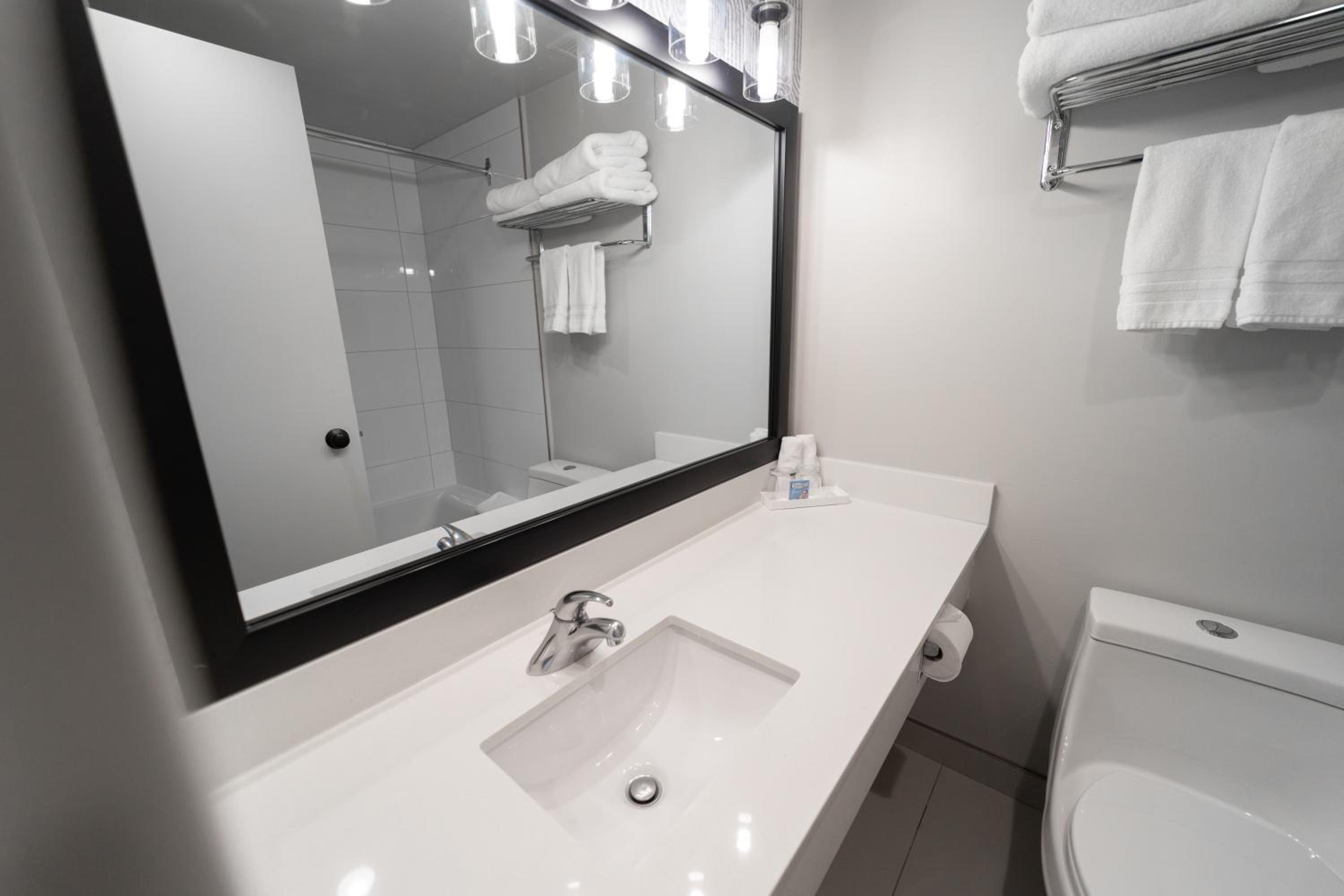Deluxe King Suite - Photo 4