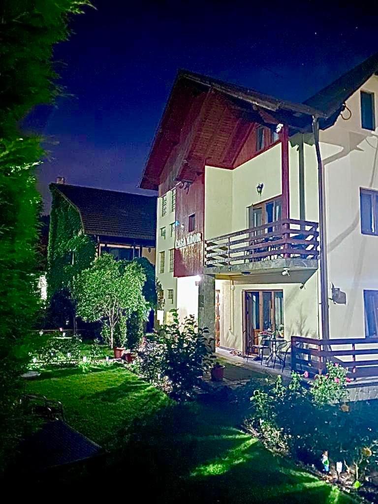 Superior Villa photo 2