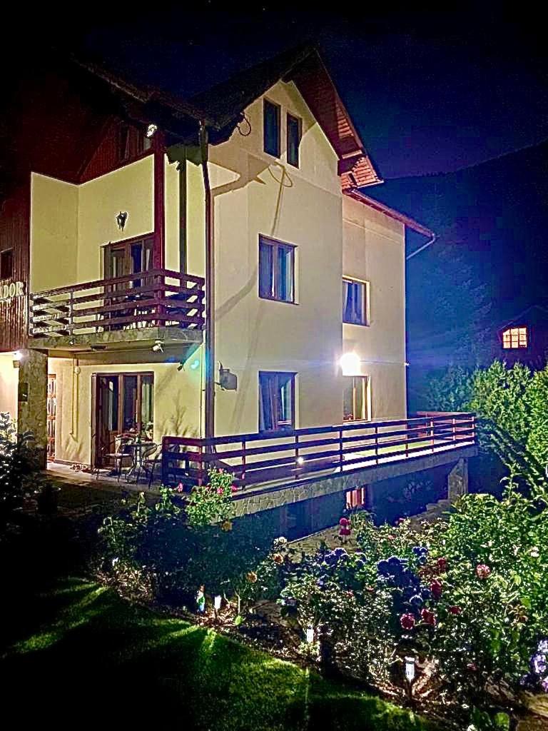 Superior Villa photo 3