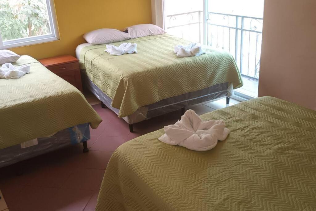 Three-Bedroom House photo 1