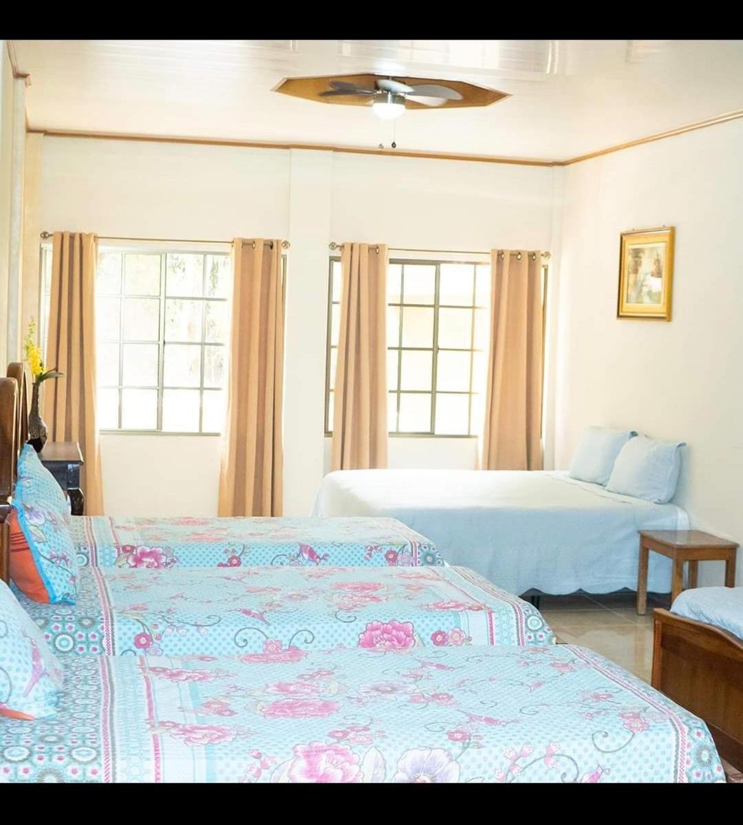8-Bed Mixed Dormitory Room