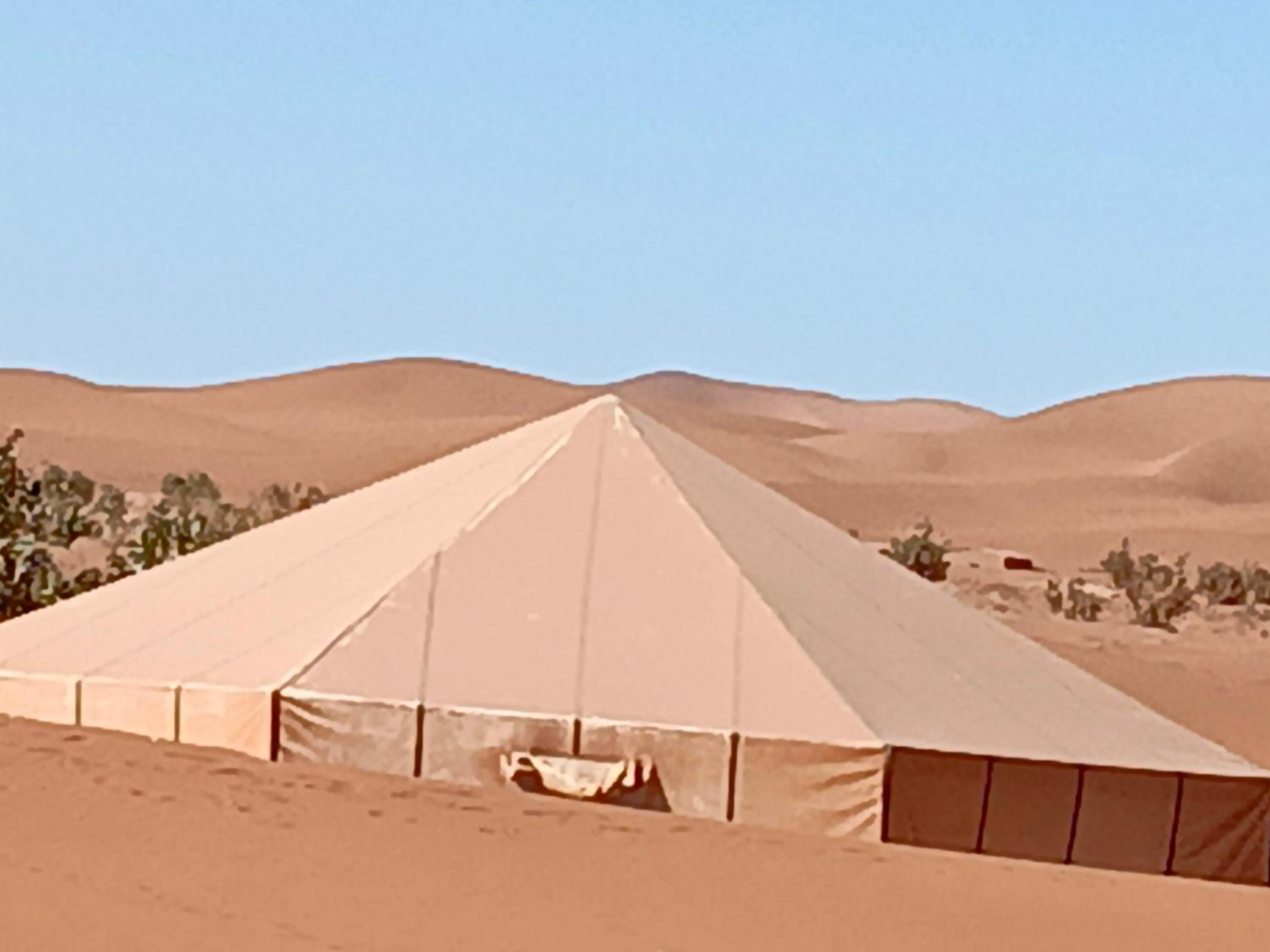 Tent photo 3