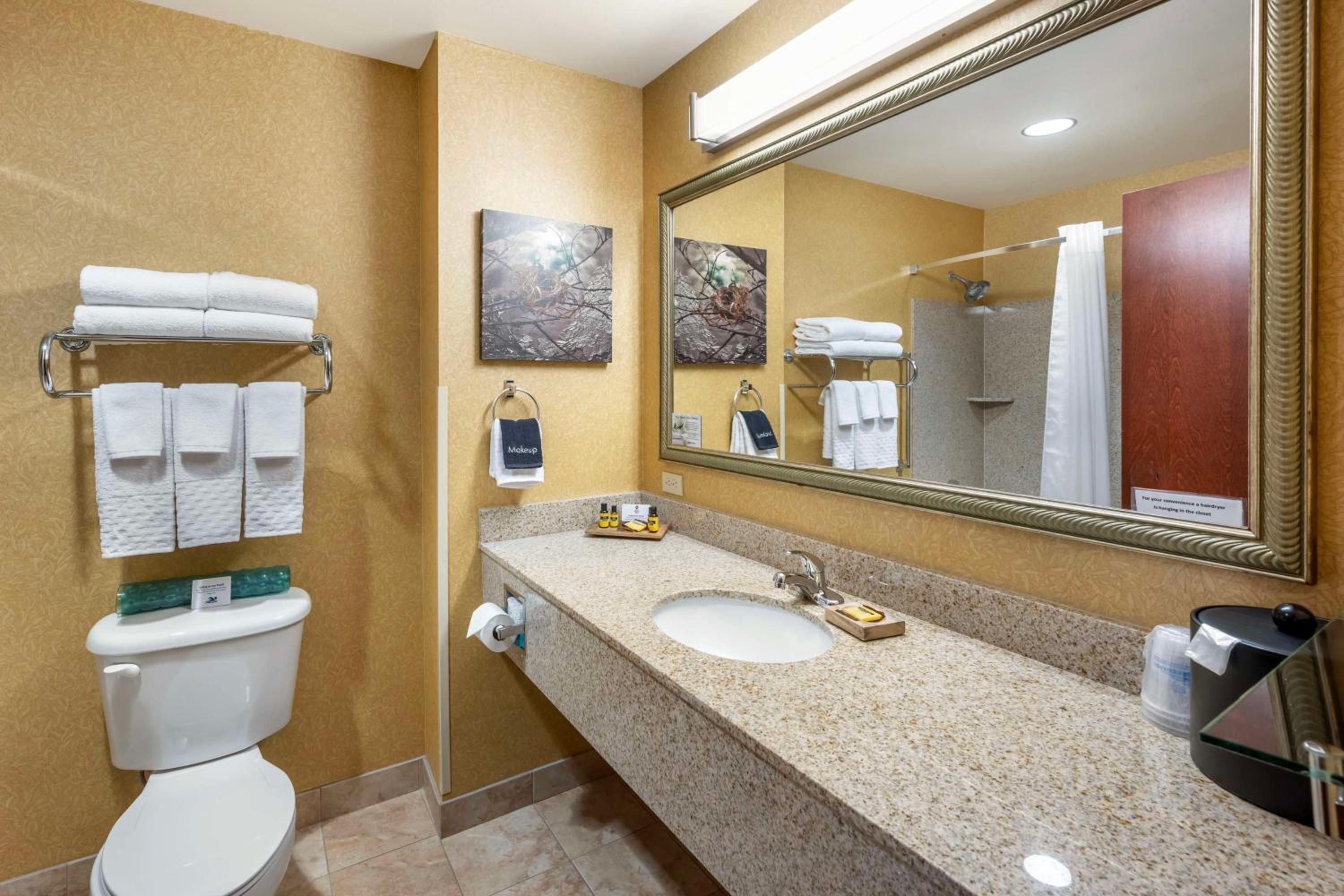 King Room - Non-Smoking - Photo 2