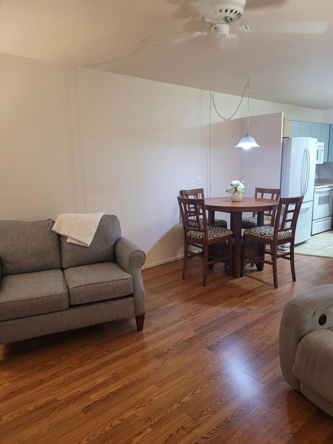 One-Bedroom Apartment photo 3