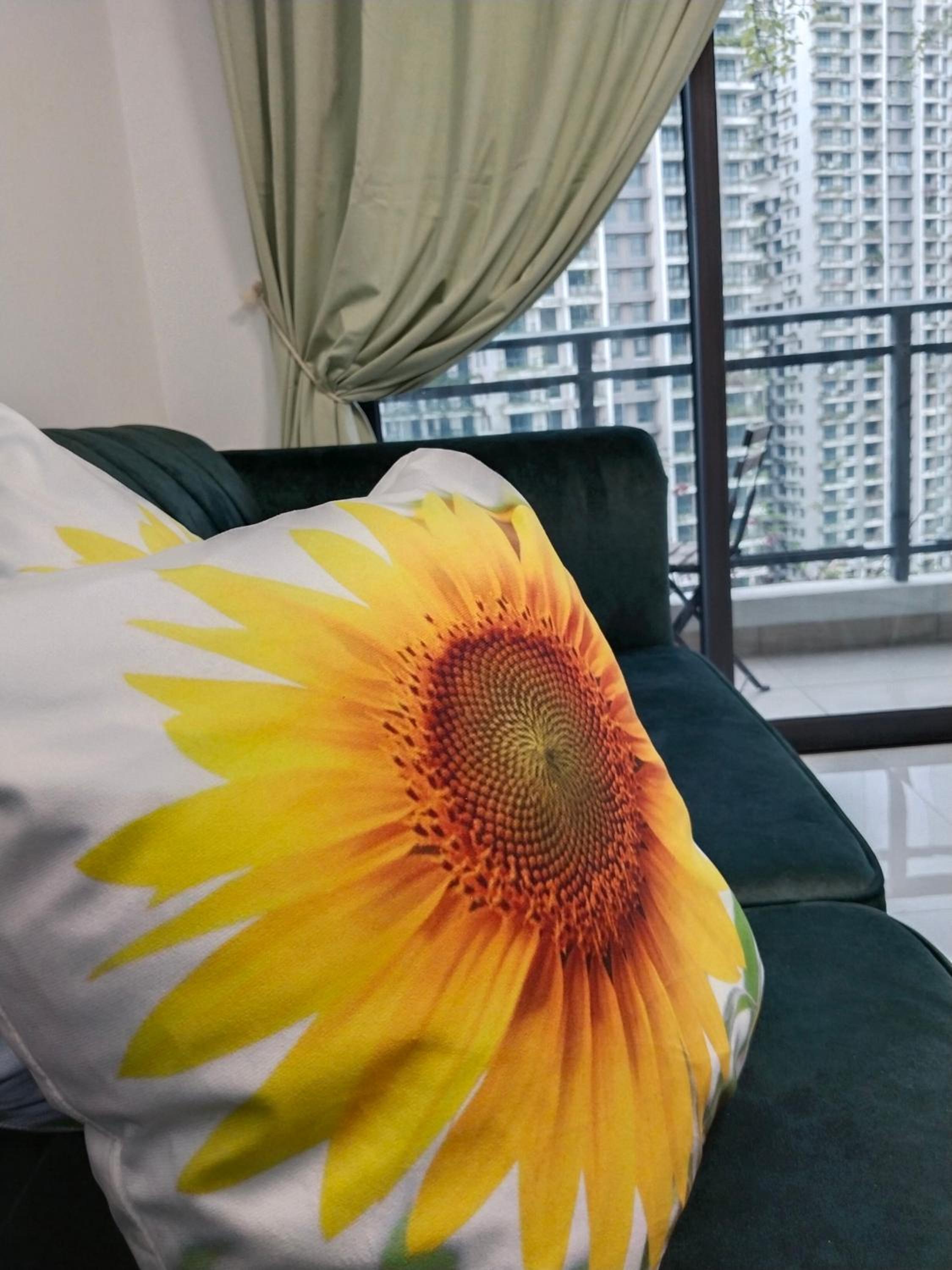 Three-Bedroom Apartment photo 3