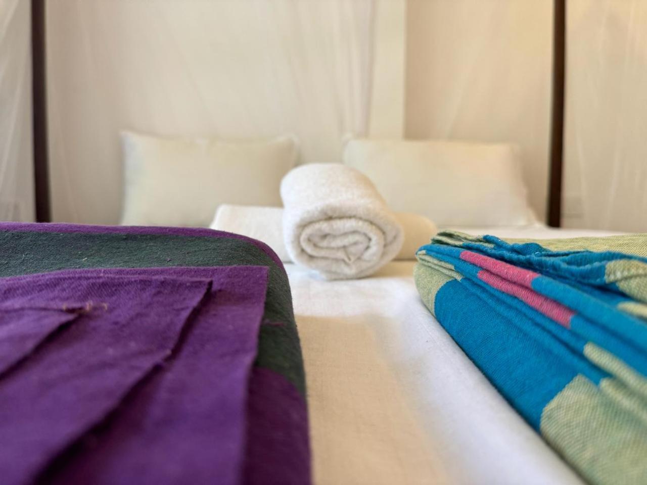 Standard Double or Twin Room photo 2