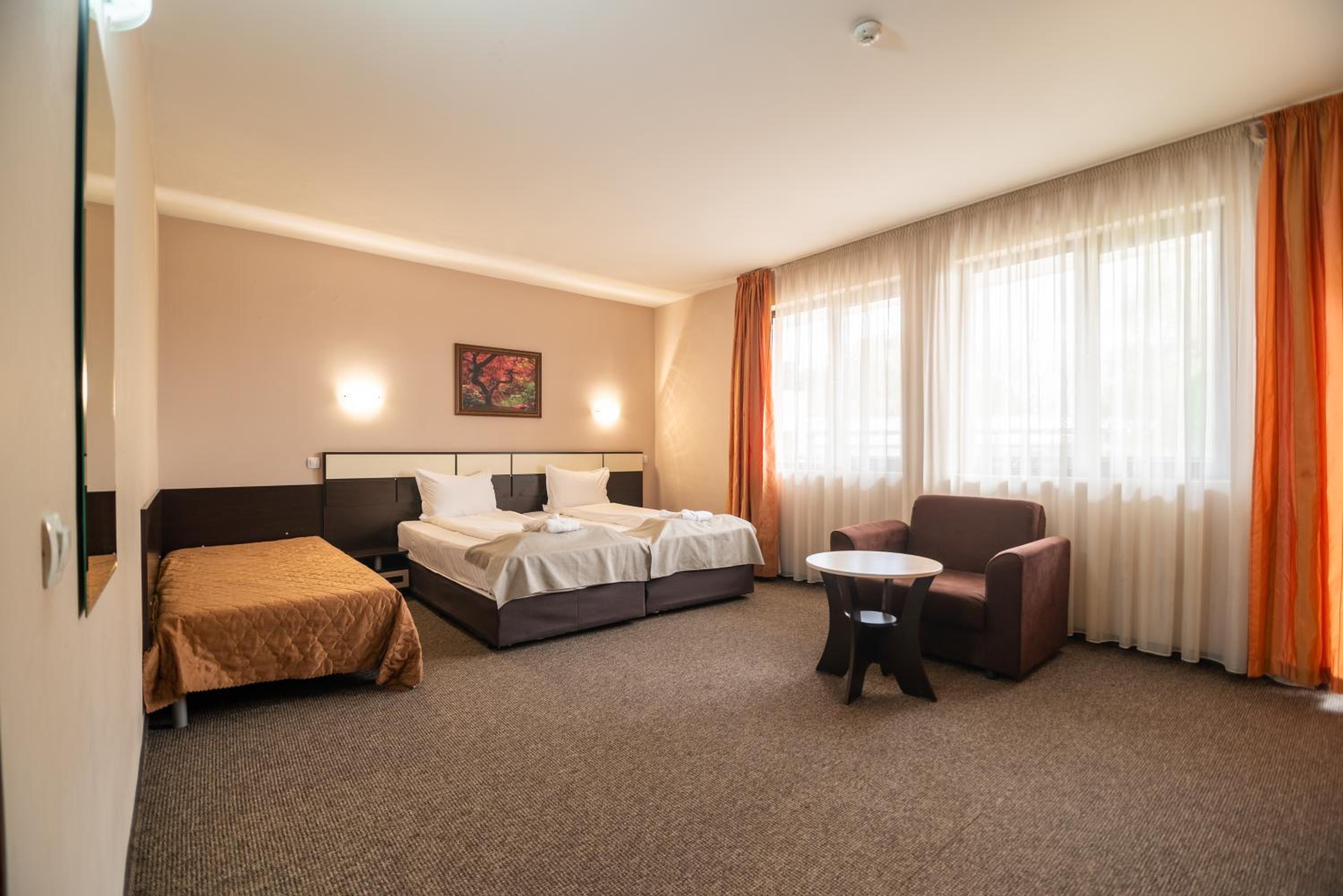 Standard Double or Twin Room with No balcony photo 2