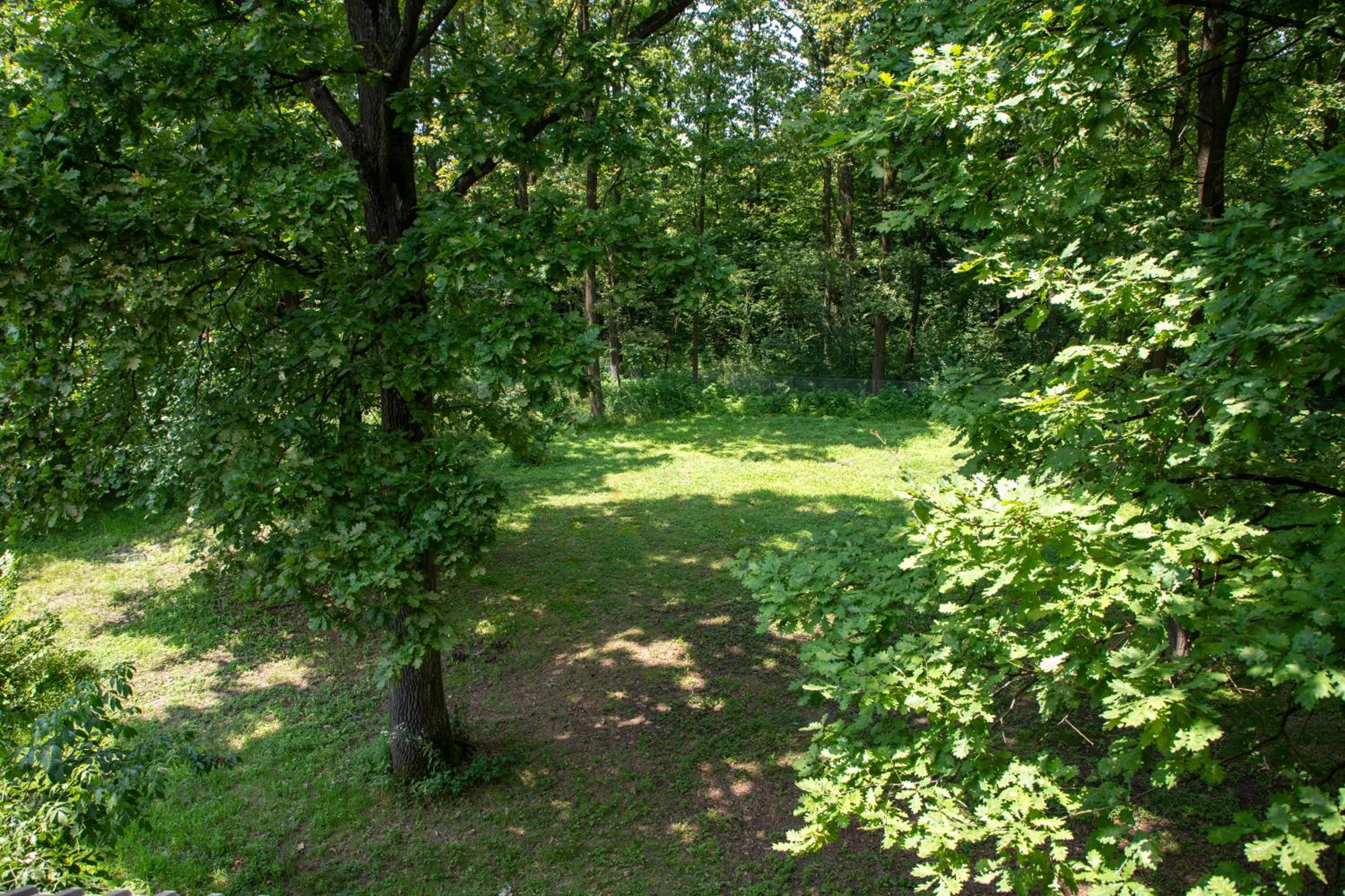 Double Room with Garden View photo 2