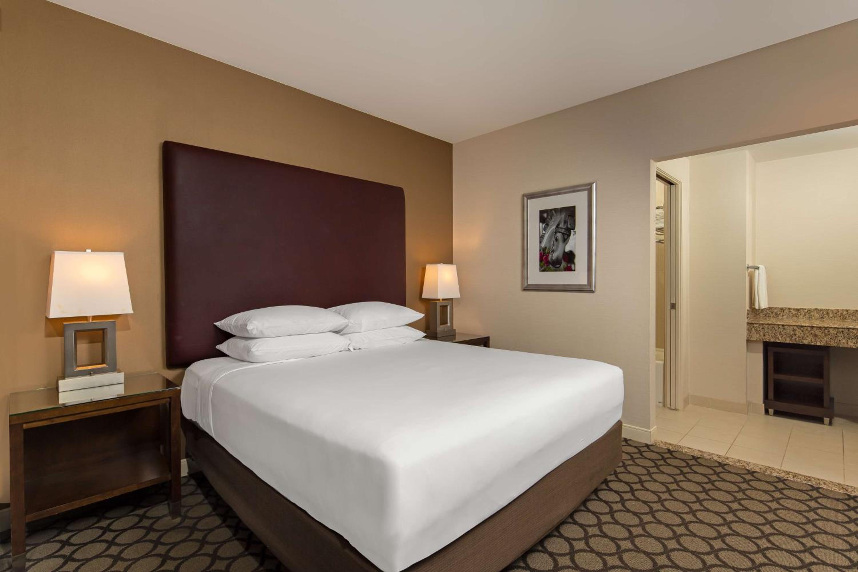 Two-Bedroom King Suite - Photo 6