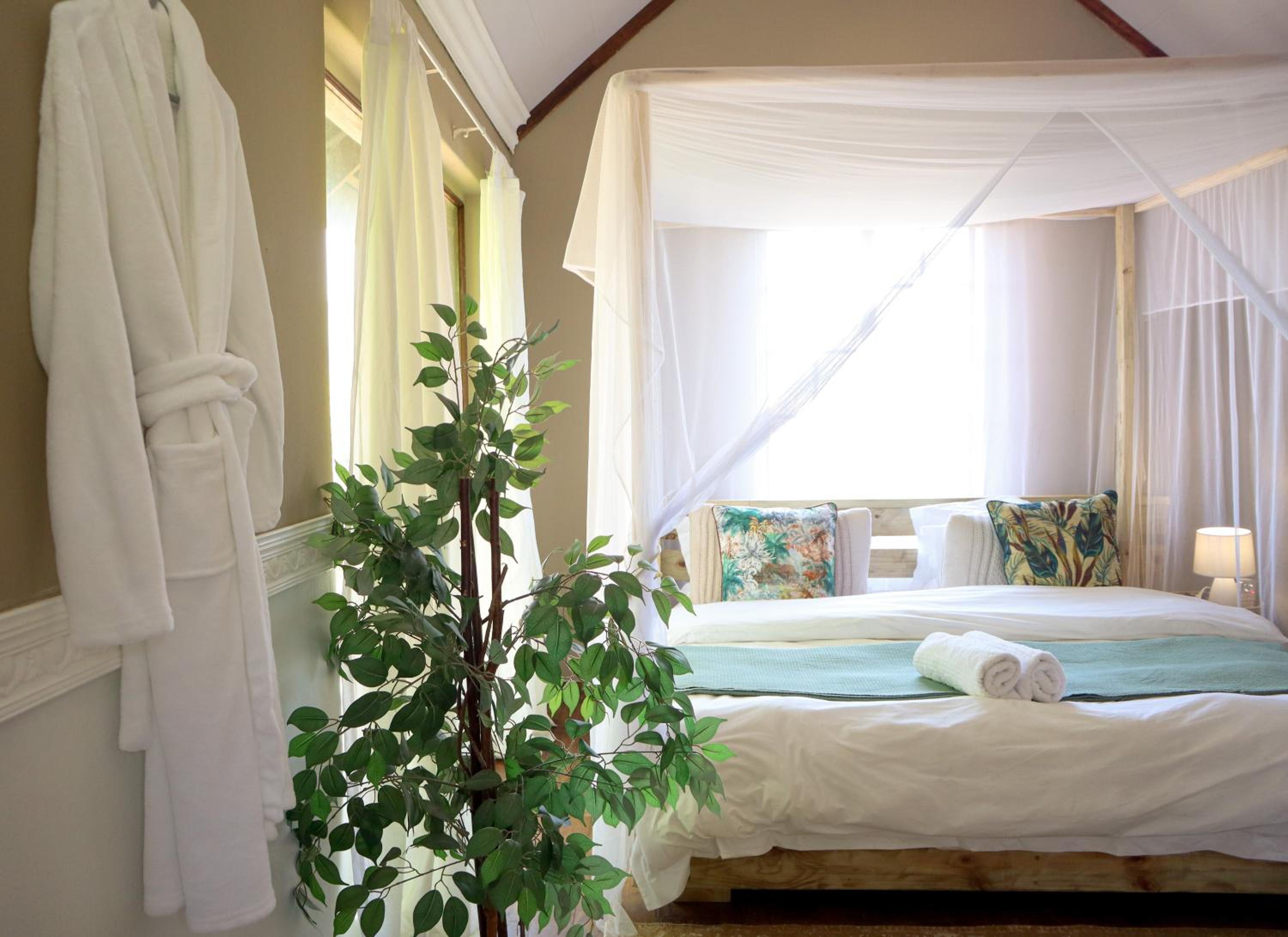 One-Bedroom House photo 3