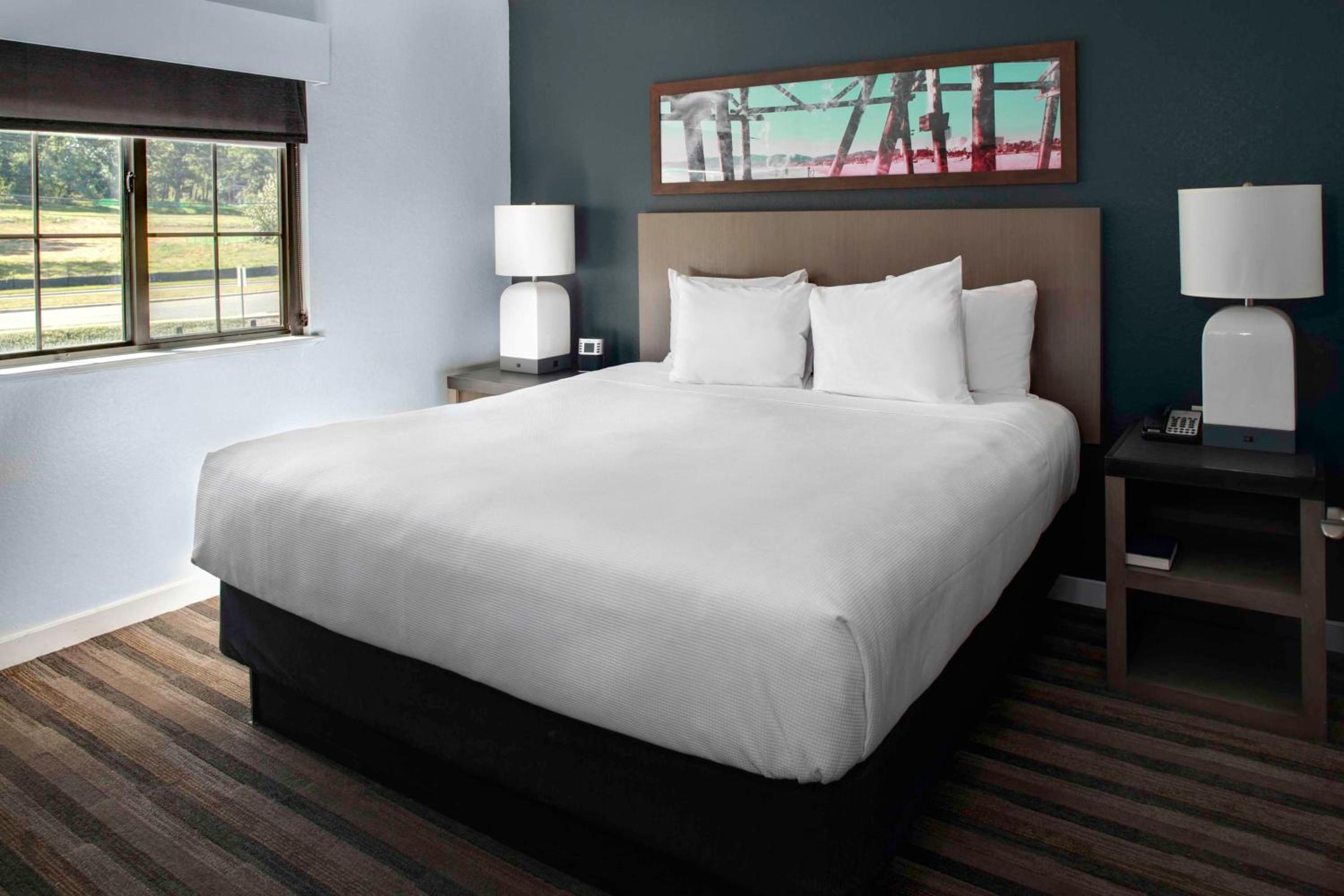 One-Bedroom King Suite - Photo 5