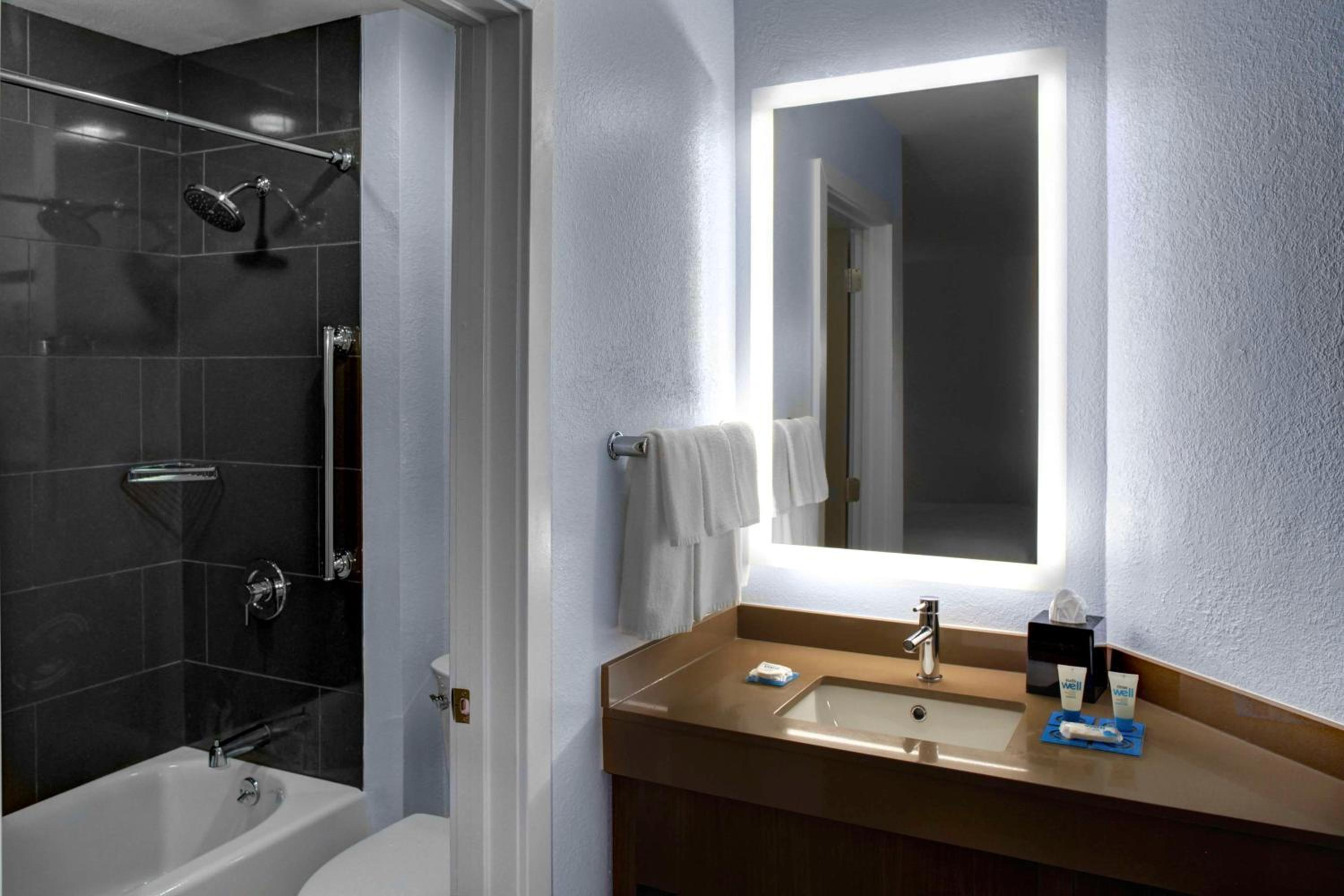 One-Bedroom Queen Suite with Bathtub - Mobility Access - Photo 6