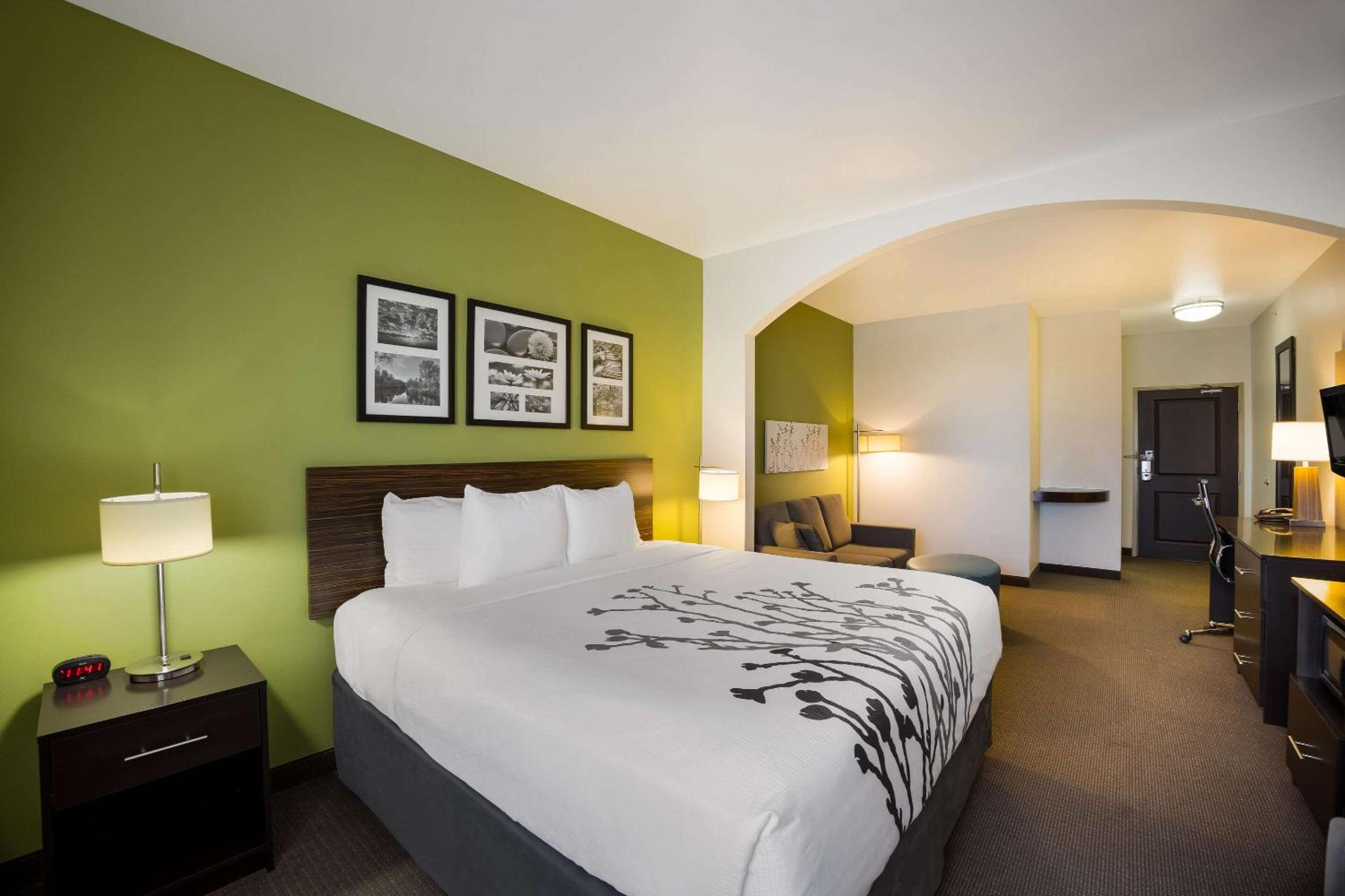 King Suite with Sofa Bed - Non-Smoking - Photo 1