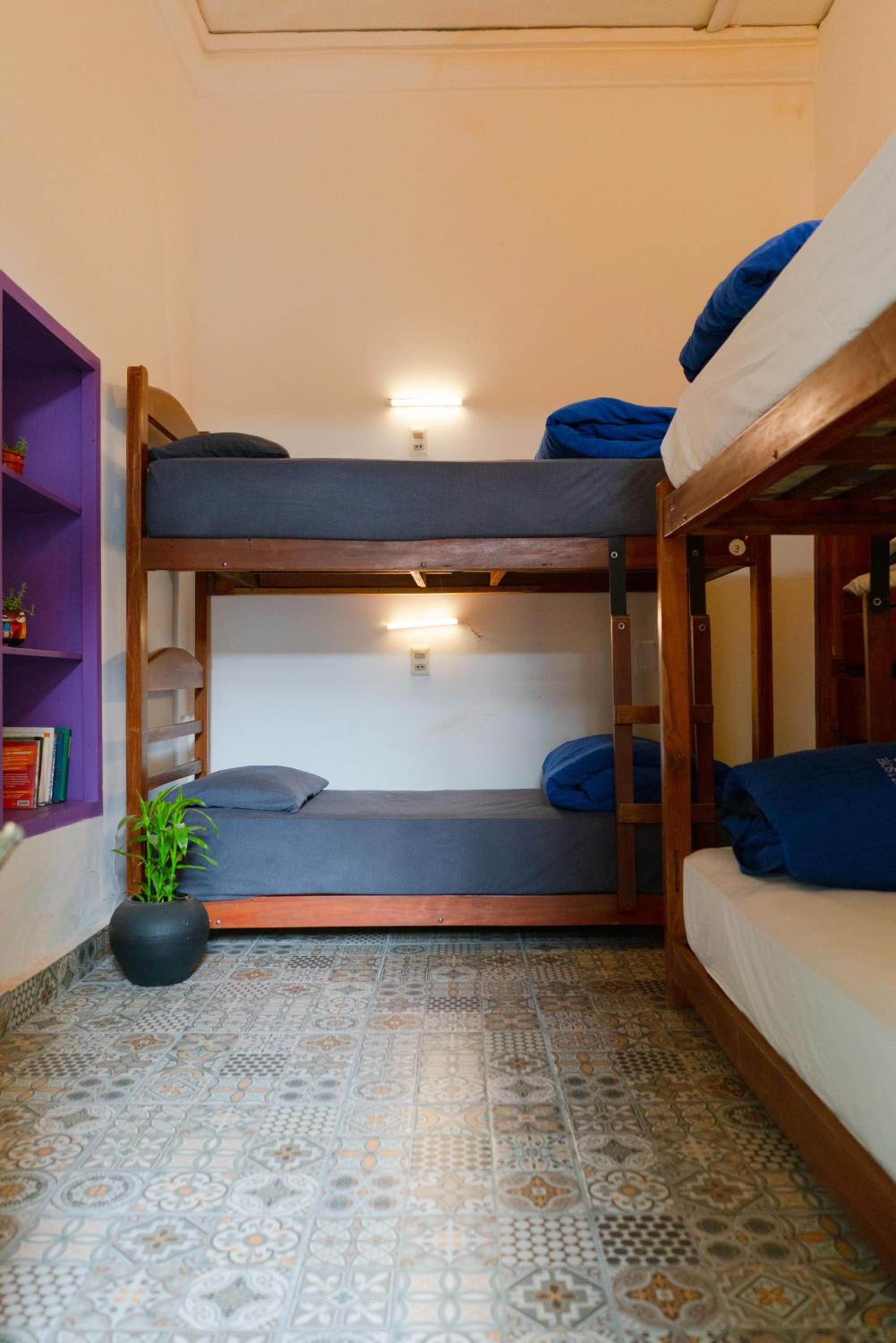 Bunk Bed in Mixed Dormitory Room photo 2
