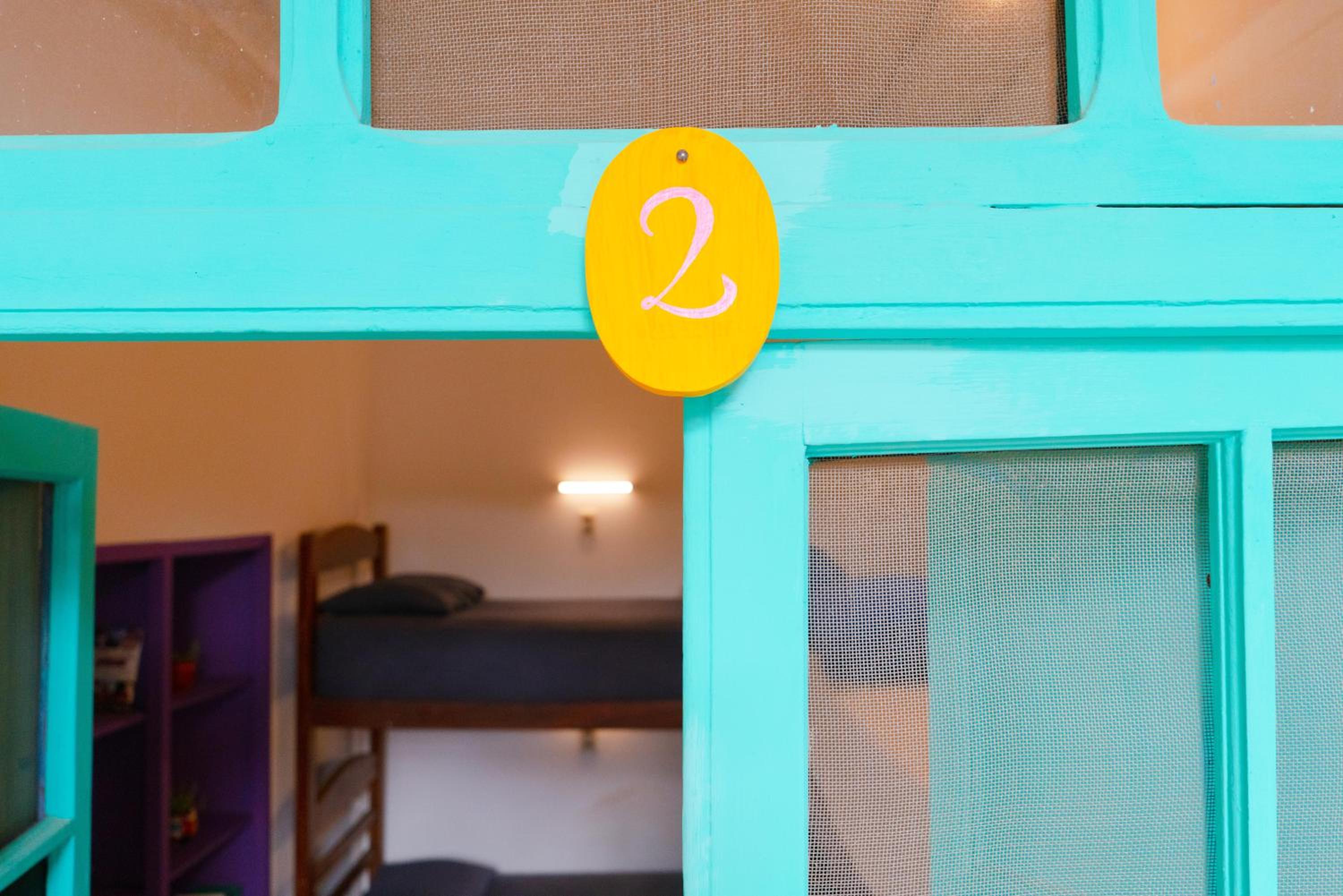 Bunk Bed in Mixed Dormitory Room photo 3