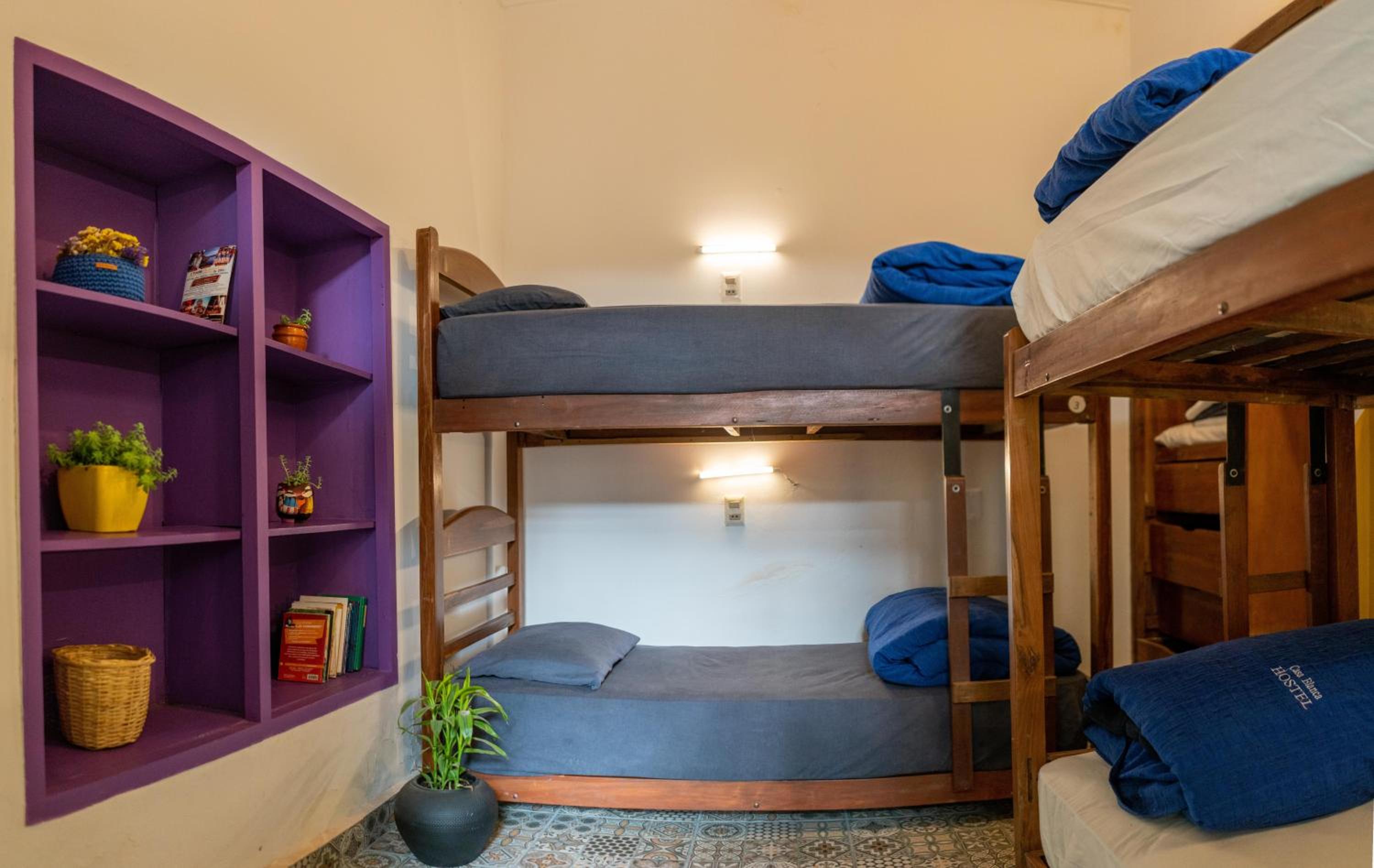Bunk Bed in Mixed Dormitory Room photo 1