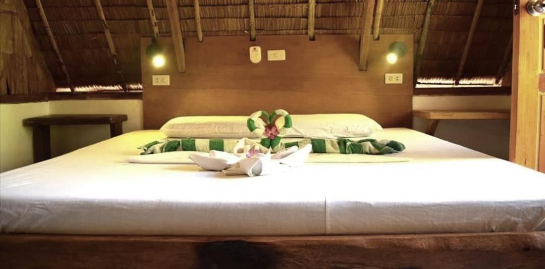 Standard Double Room with Fan photo 3