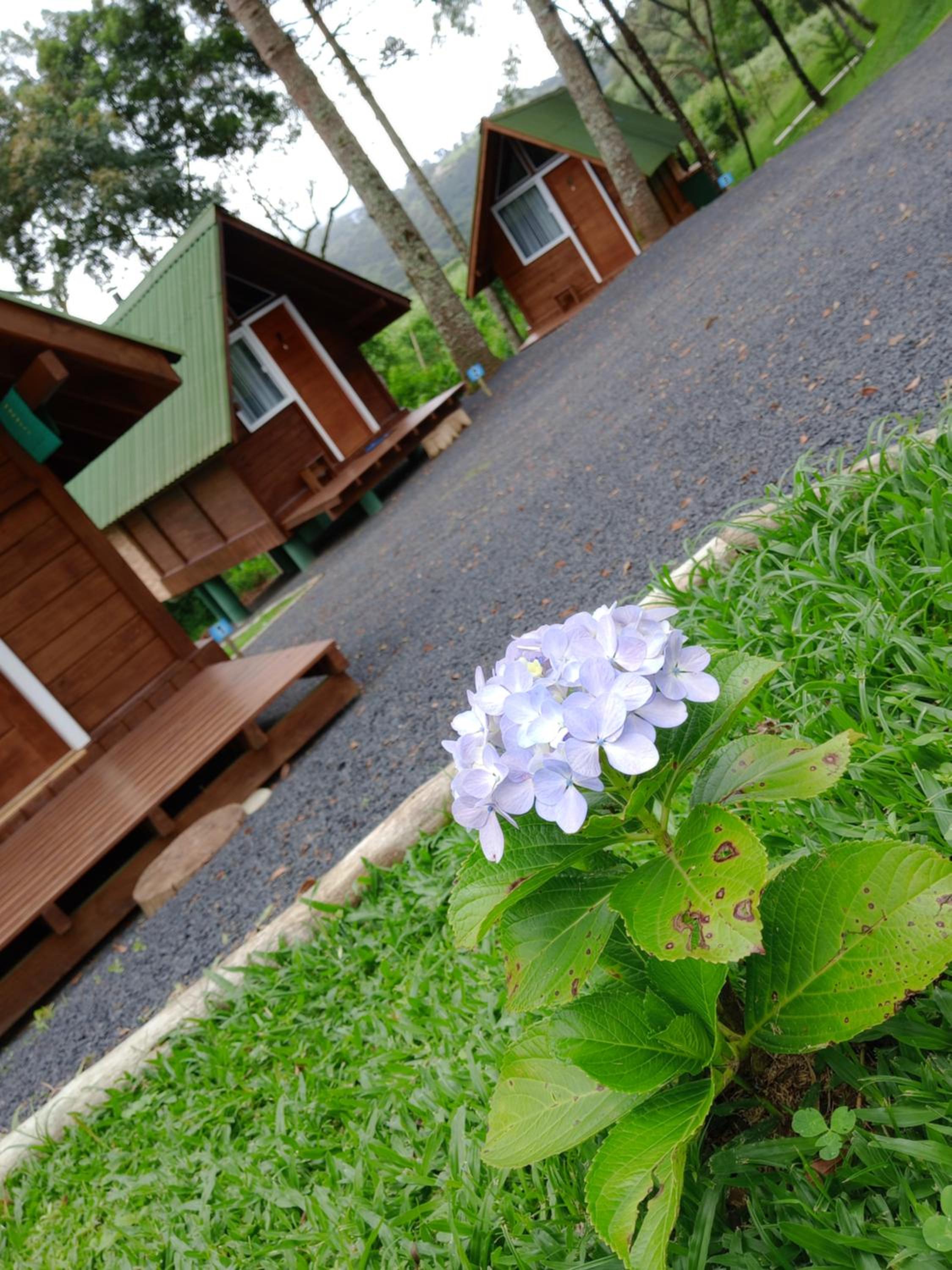 Chalet photo 3