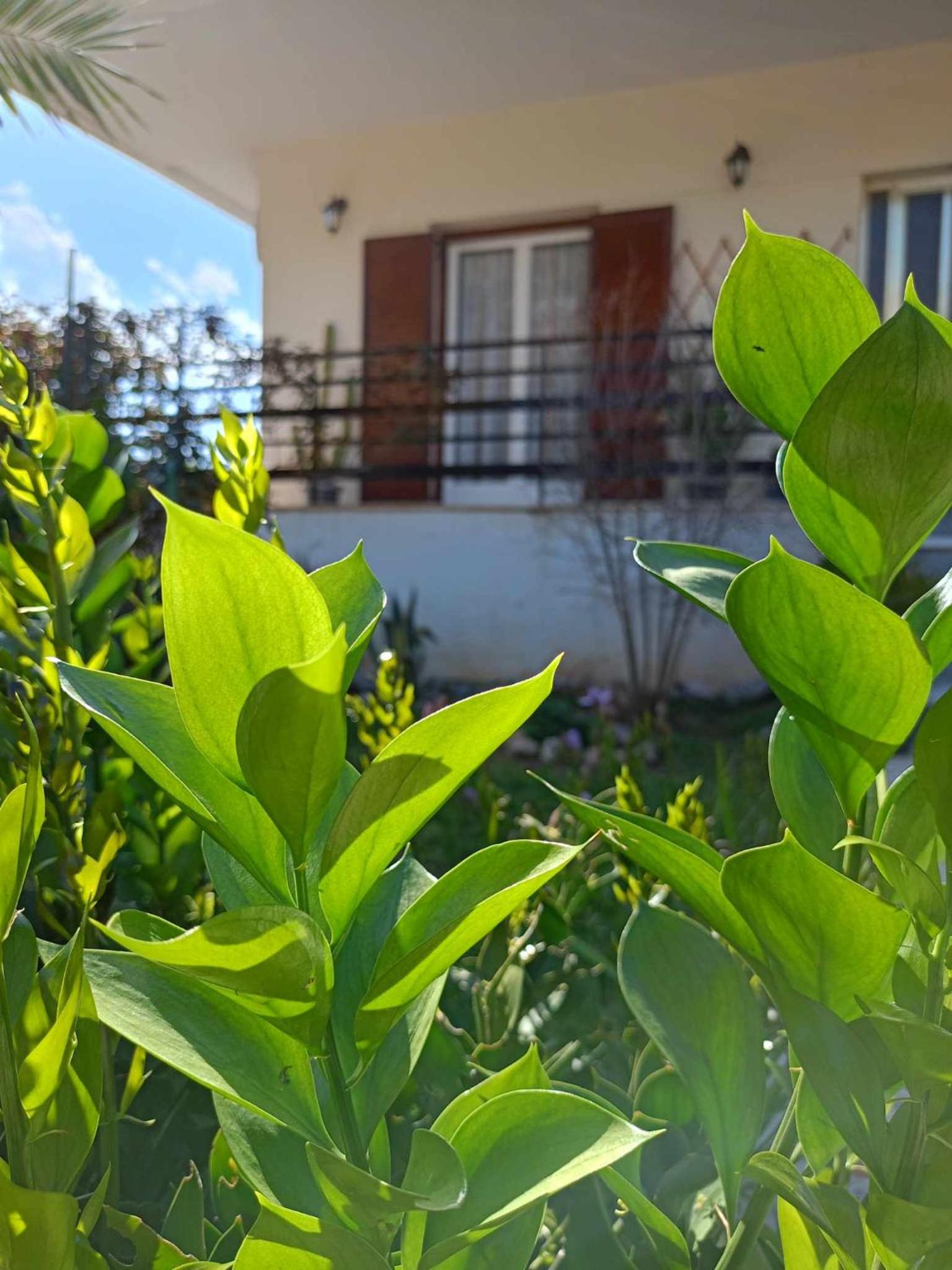Two-Bedroom House - Photo 14